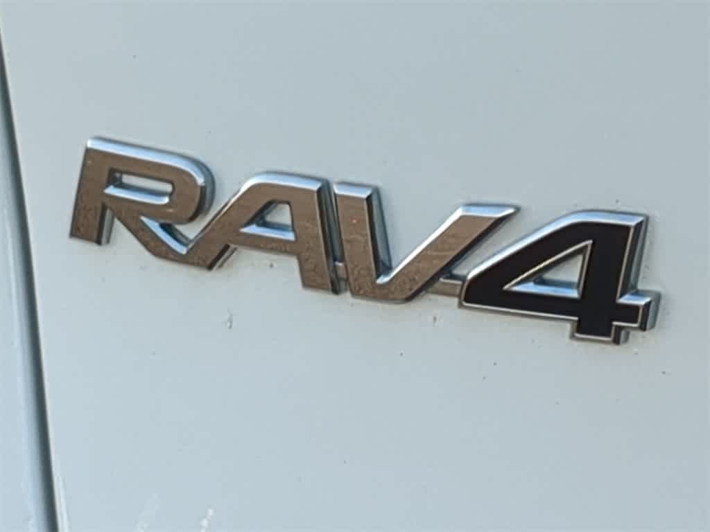 2019 Toyota RAV4 LE 13