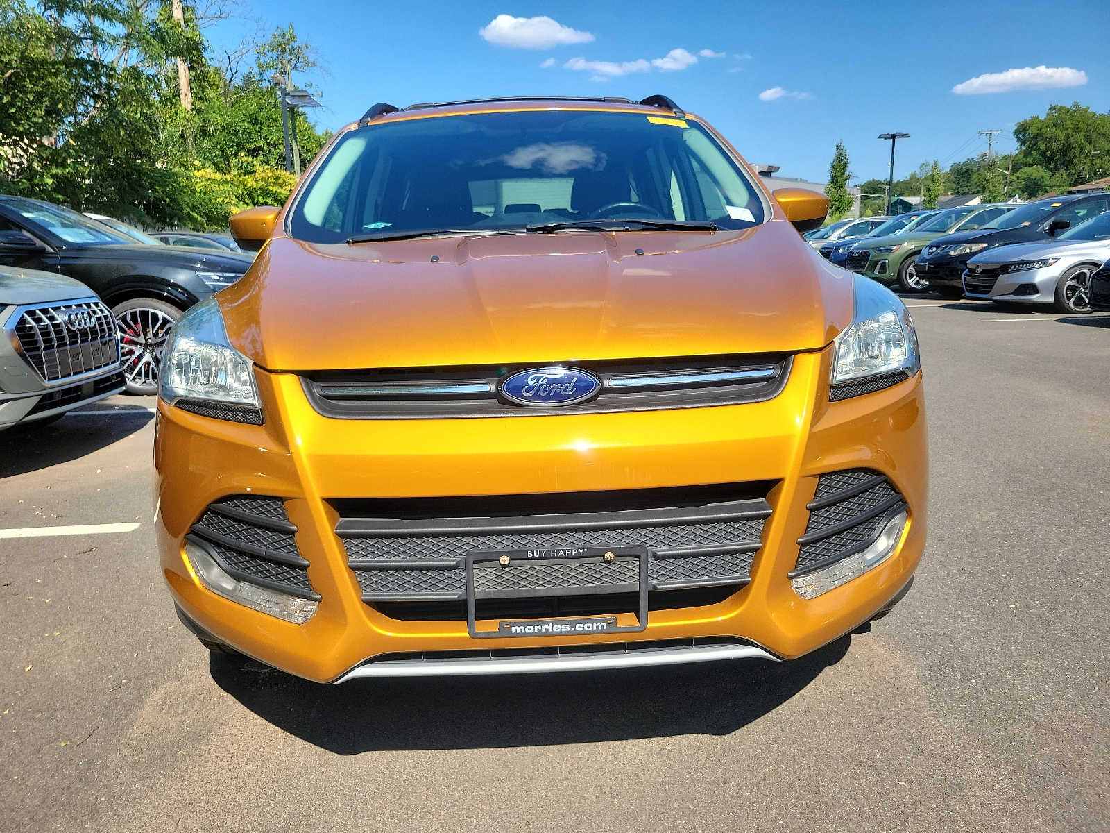 2016 Ford Escape SE 2