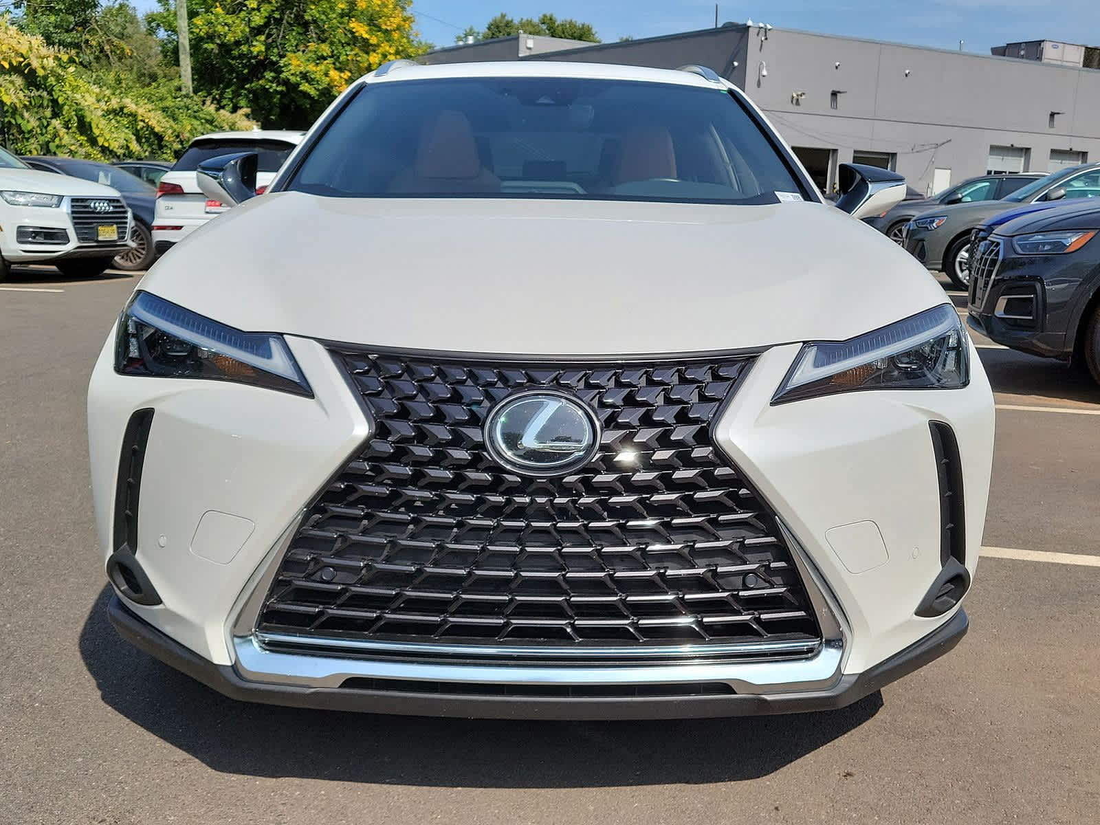 2023 Lexus UX UX 250h Premium 29