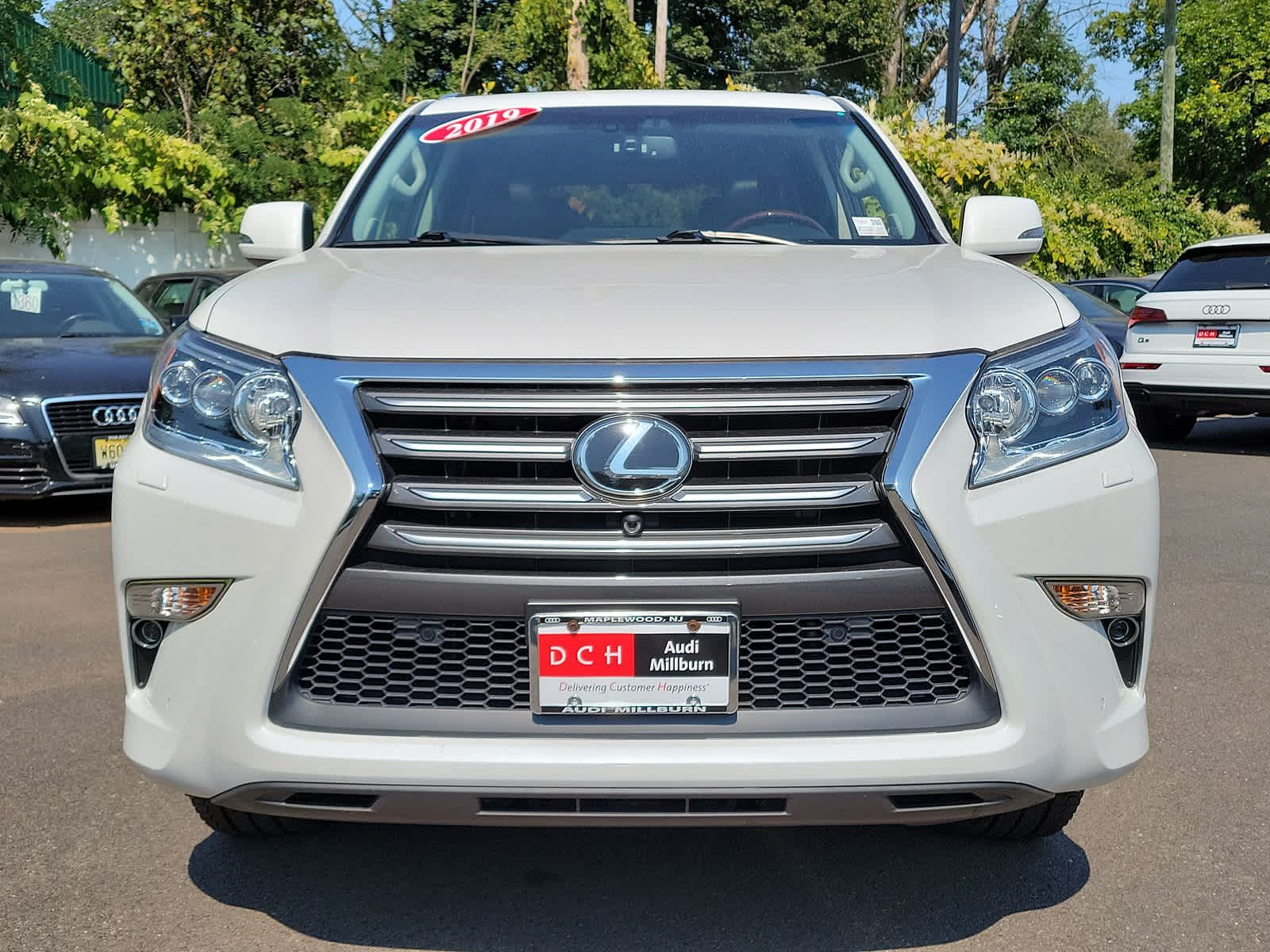 2019 Lexus GX GX 460 Luxury 28