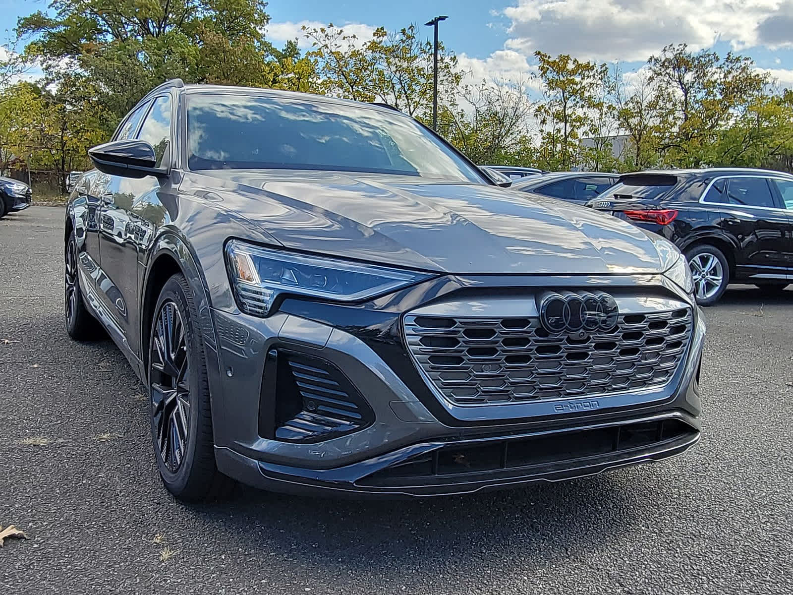 2024 Audi Q8 e-tron Prestige 10