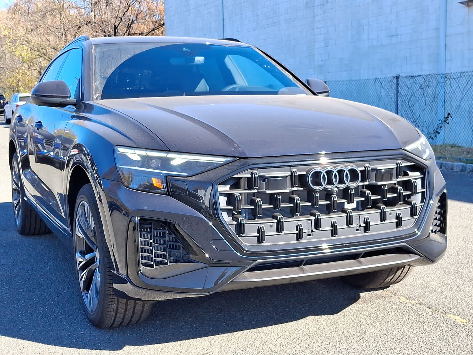 2025 Audi Q8 Premium 10