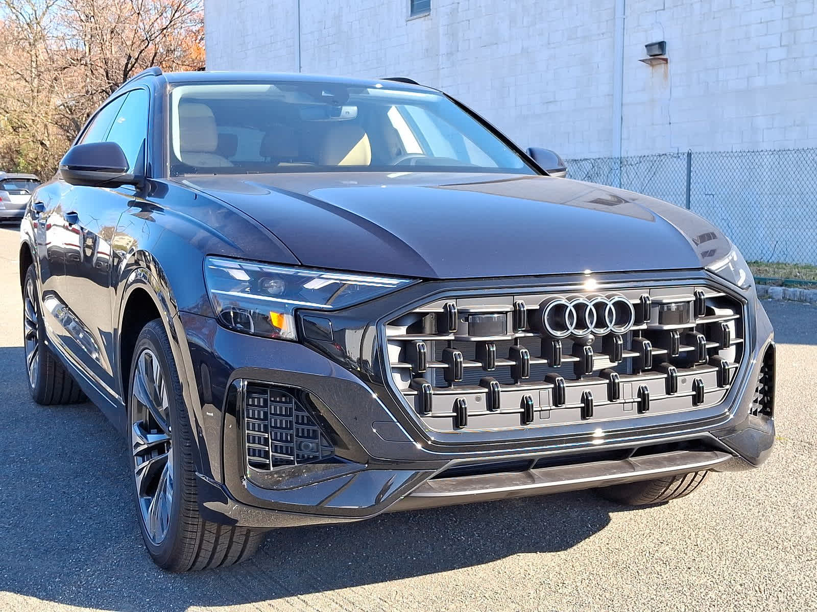 2025 Audi Q8 Premium 10