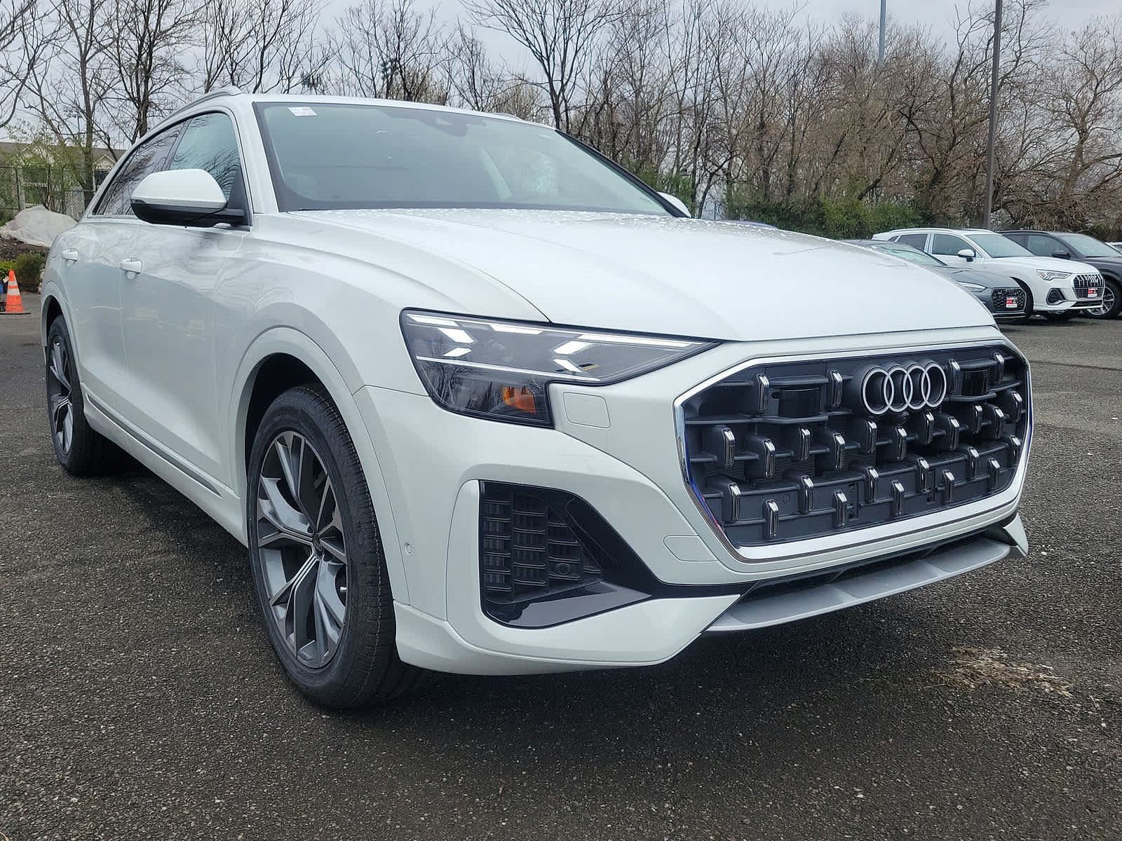 2024 Audi Q8 Prestige 10