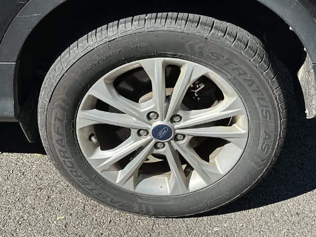 Photo 5
