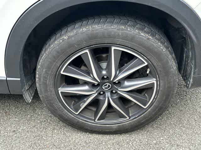 Photo 5