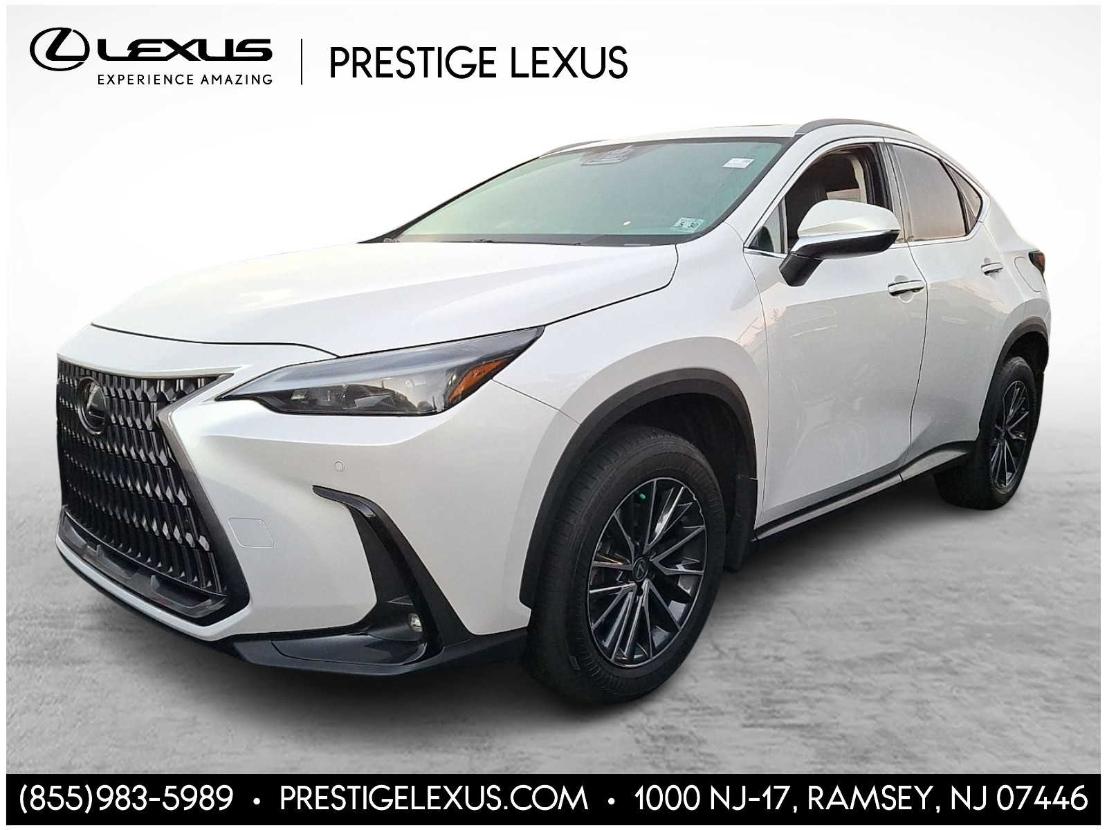 2025 Lexus NX 350