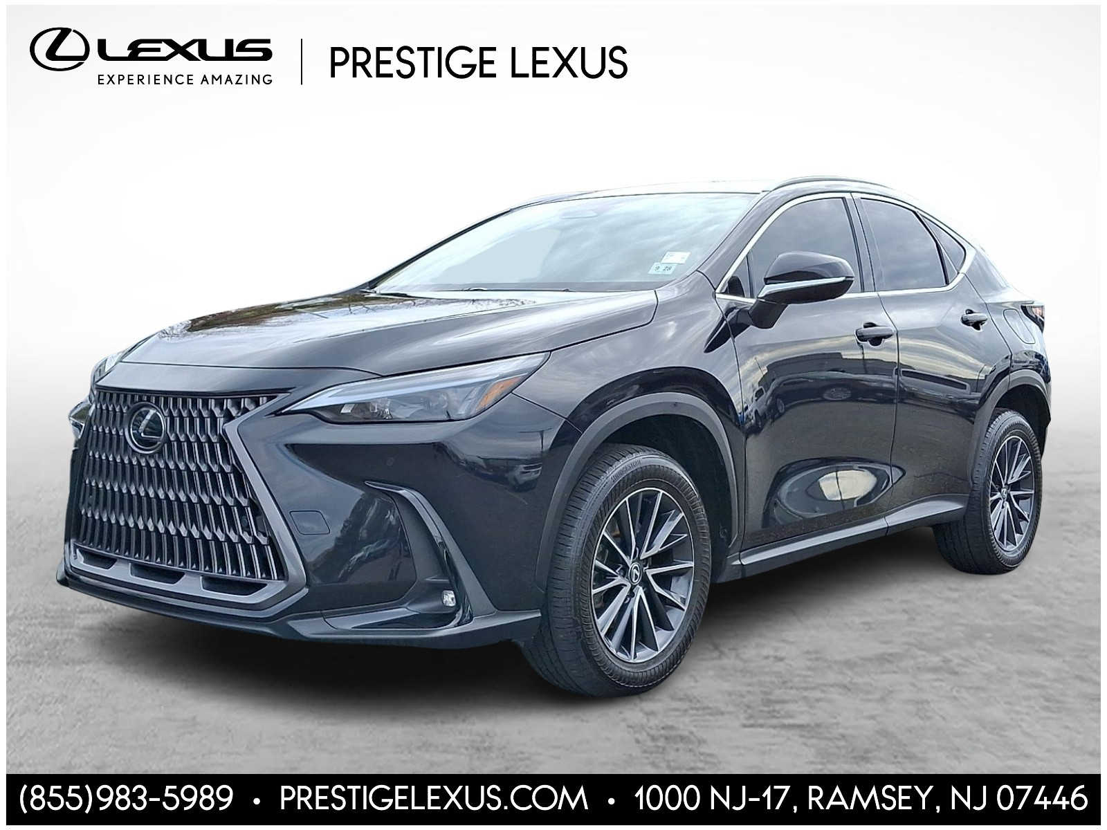 2024 Lexus NX 350 Premium AWD