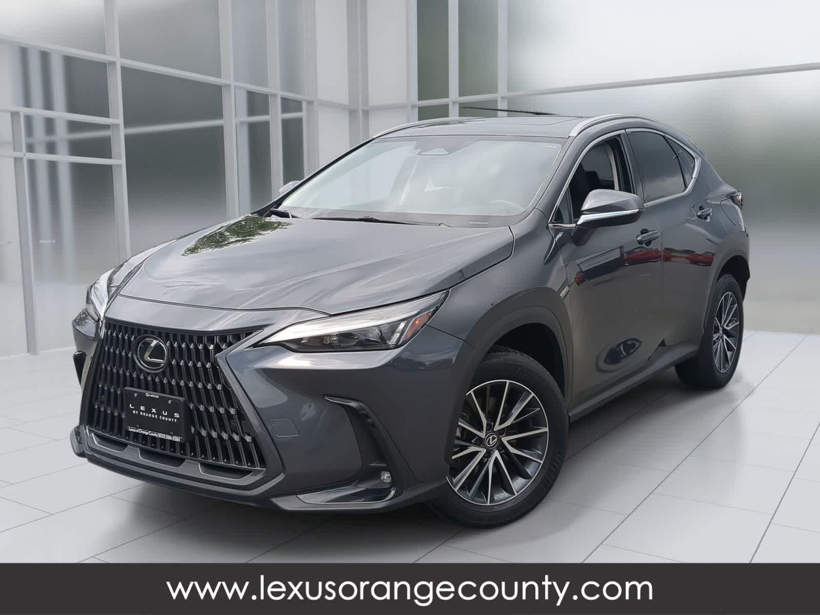 2025 Lexus NX 350