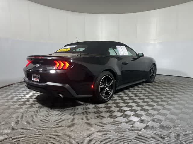 2024 Ford Mustang #8