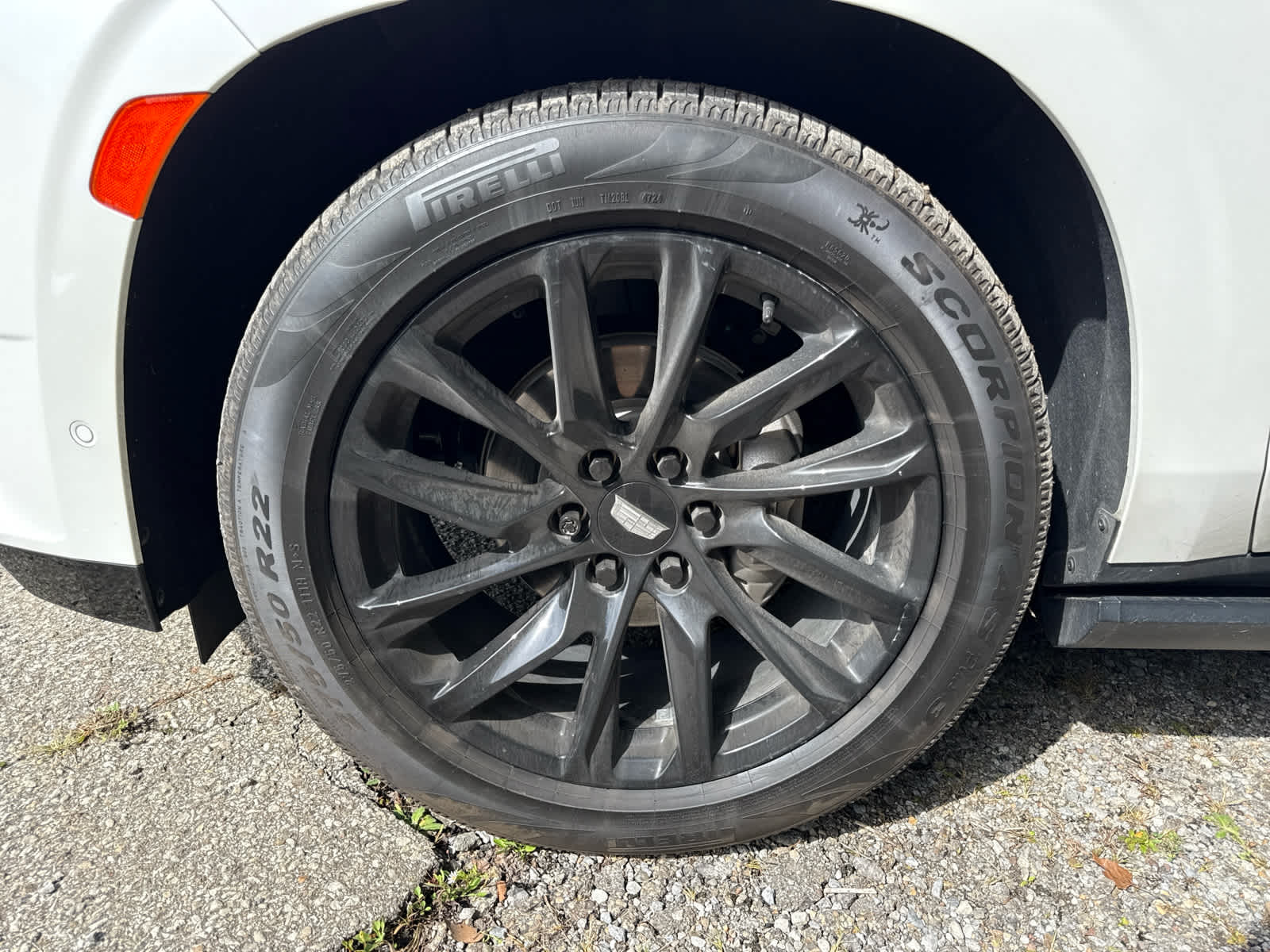 2023 Cadillac Escalade 4WD Sport Platinum - 6