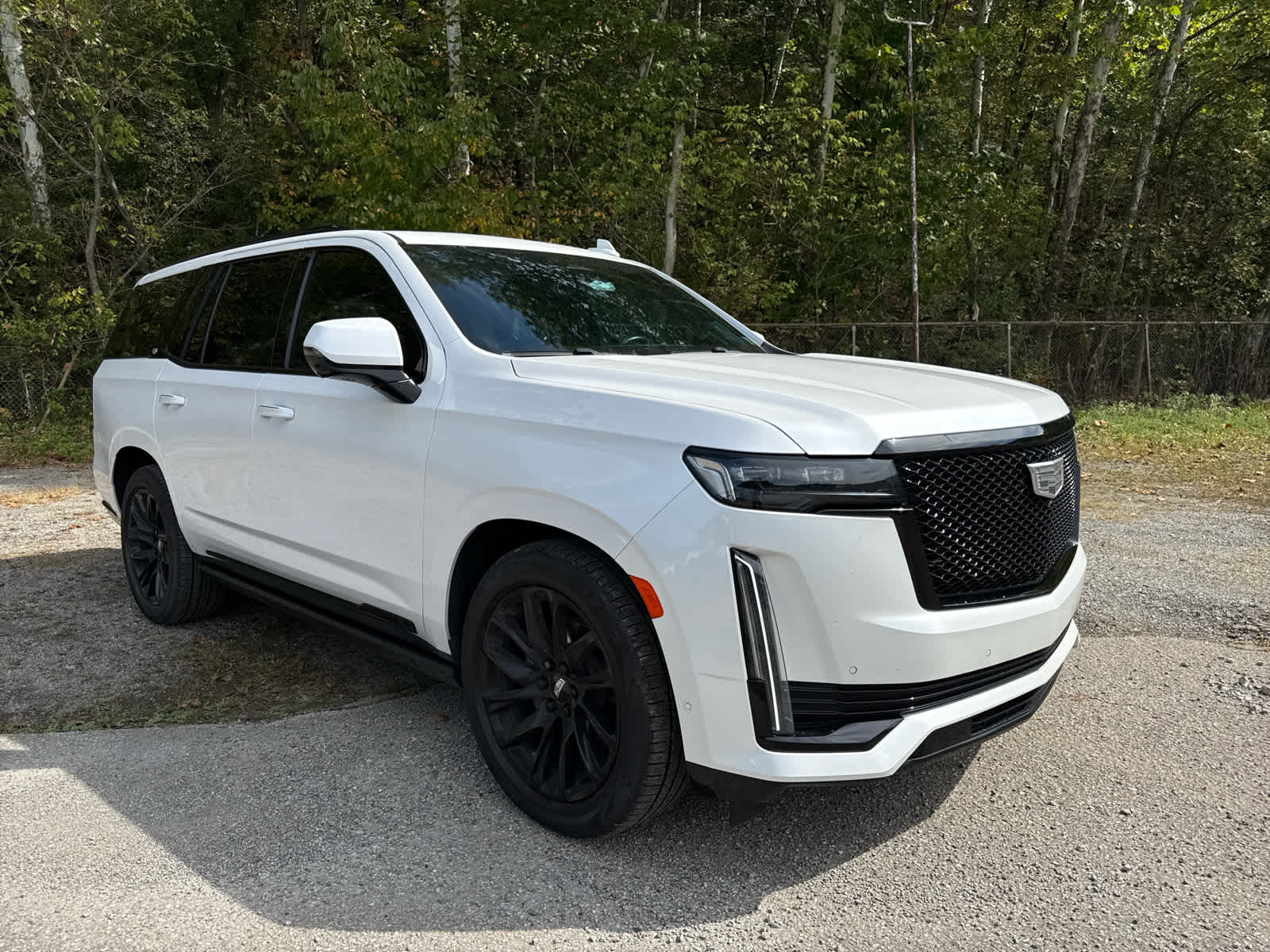 2023 Cadillac Escalade 4WD Sport Platinum - 1