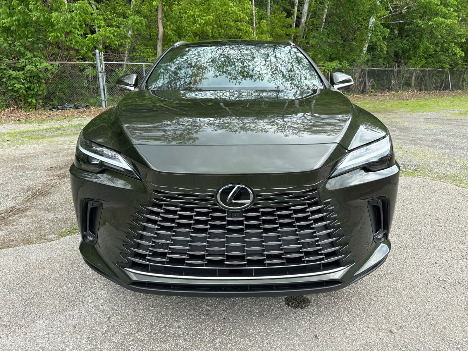 2025 Lexus RX 350h Premium Plus  Nori Green Pearl at Altoona Honda