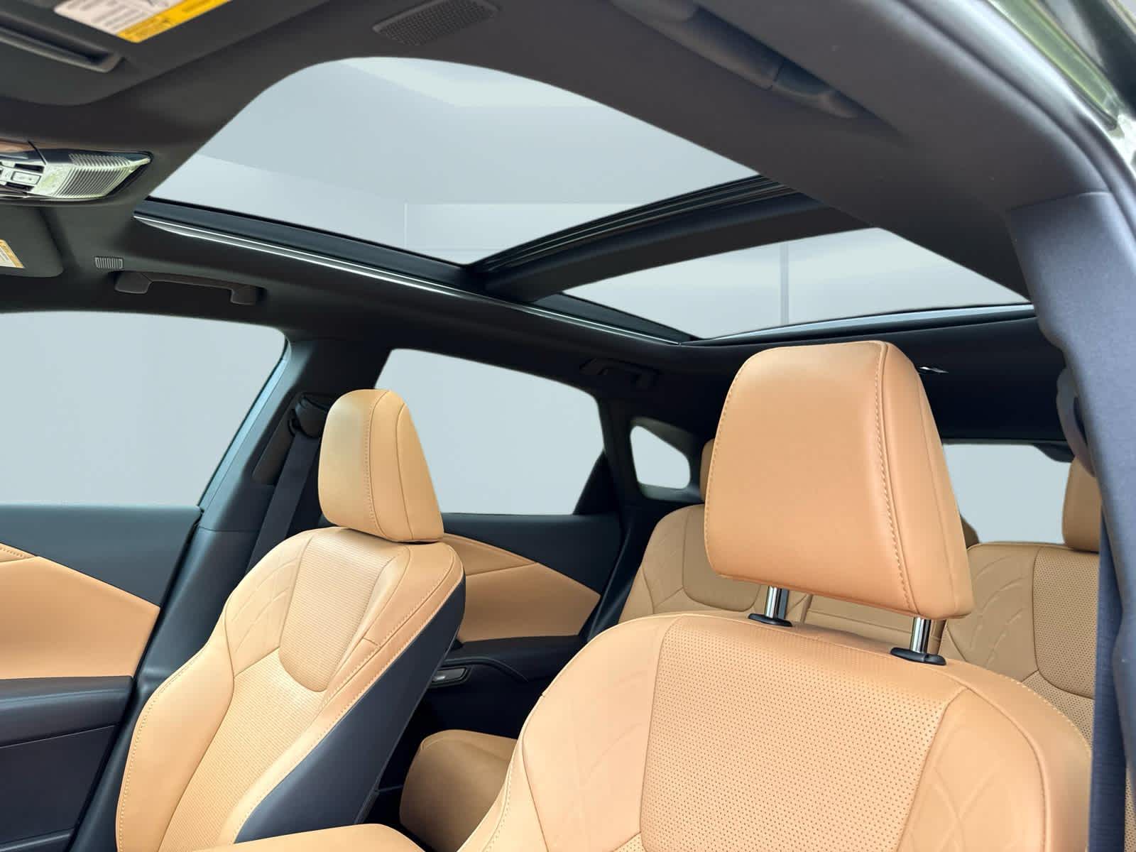 2025 Lexus RX 350h Premium Plus - 6