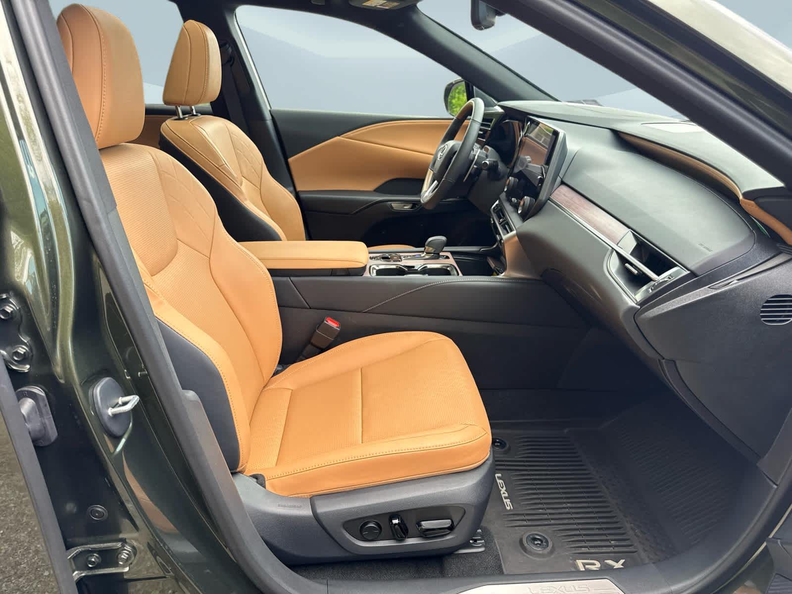 2025 Lexus RX 350h Premium Plus - 9