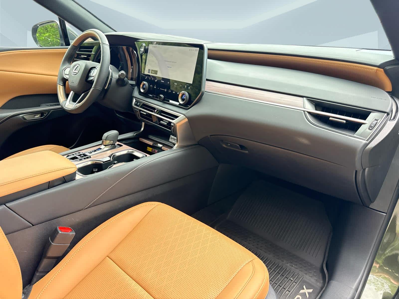 2025 Lexus RX 350h Premium Plus - 8