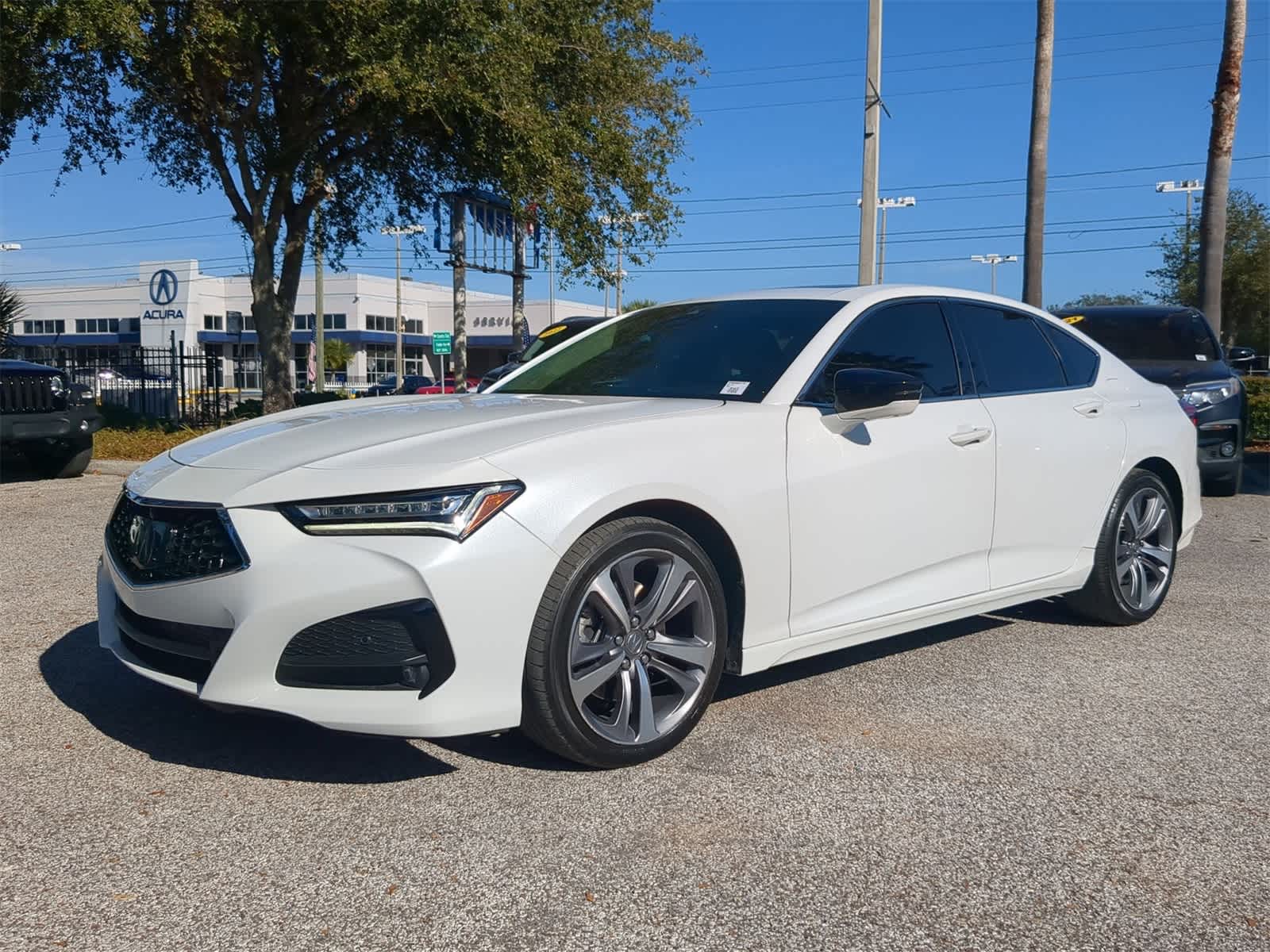 Used 2023 Acura TLX Advance Package with VIN 19UUB6F60PA000774 for sale in Tampa, FL