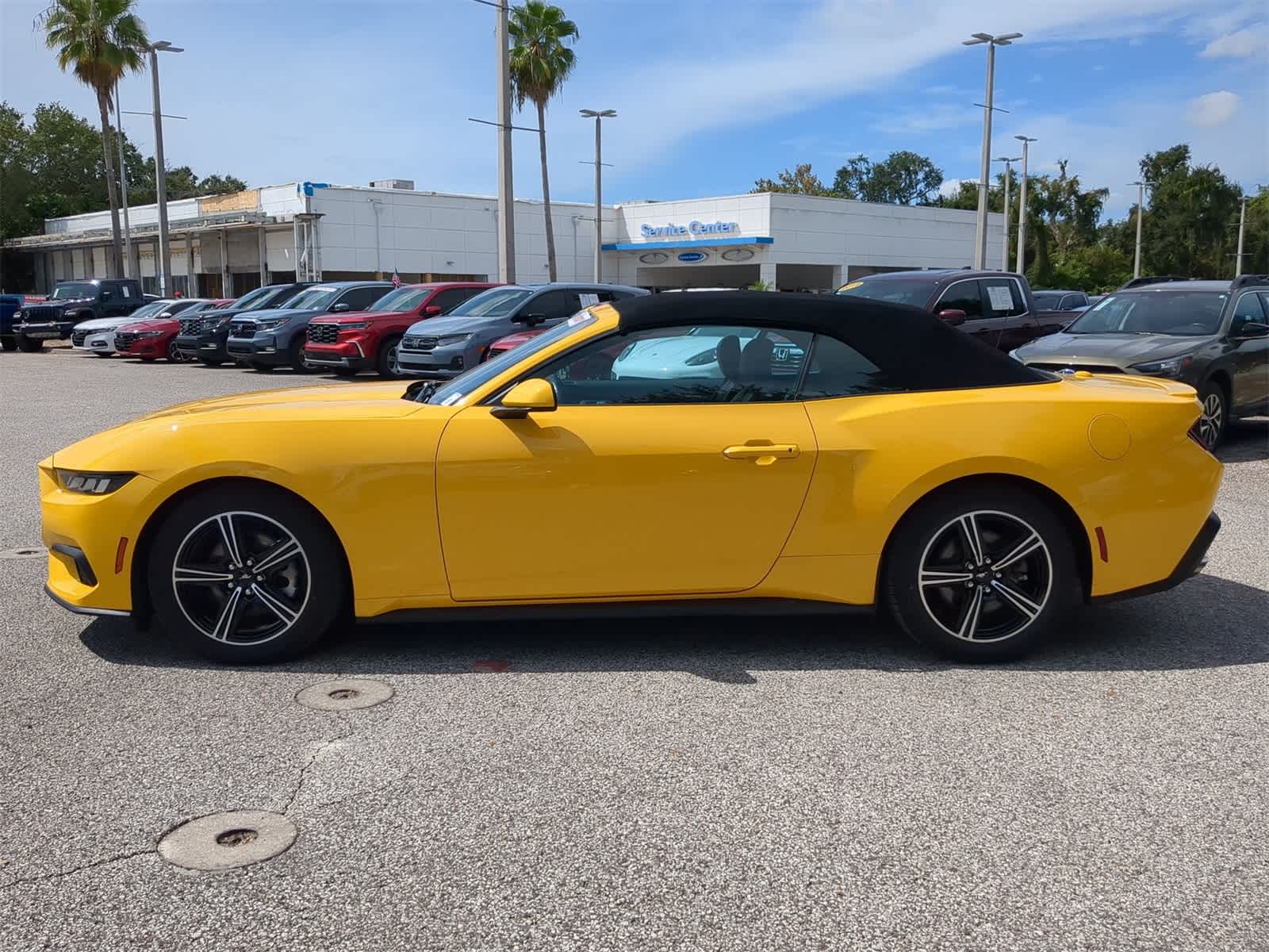 2024 Ford Mustang EcoBoost Premium photo 3