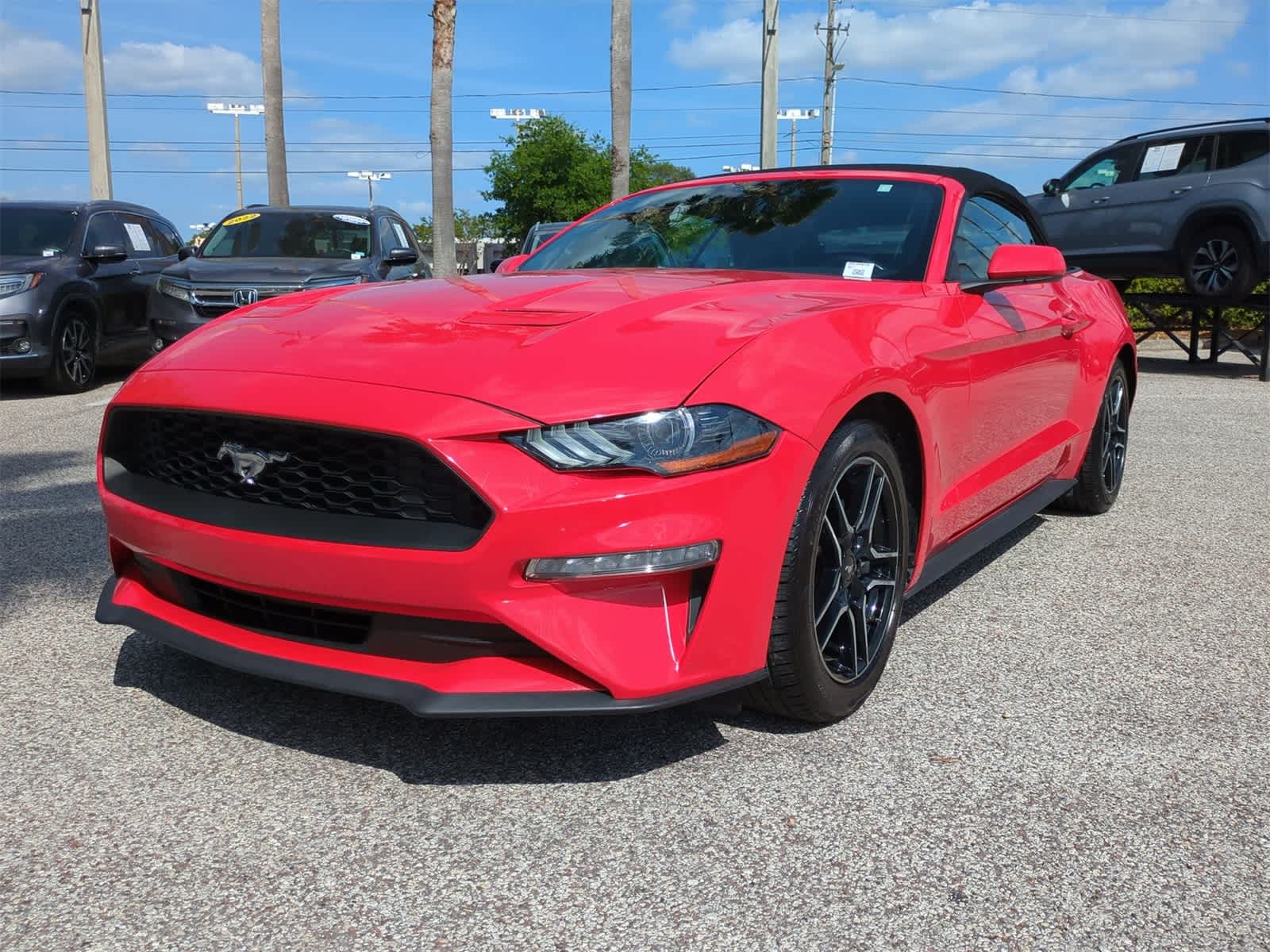 Used 2023 Ford Mustang EcoBoost Premium with VIN 1FATP8UH7P5103619 for sale in Tampa, FL