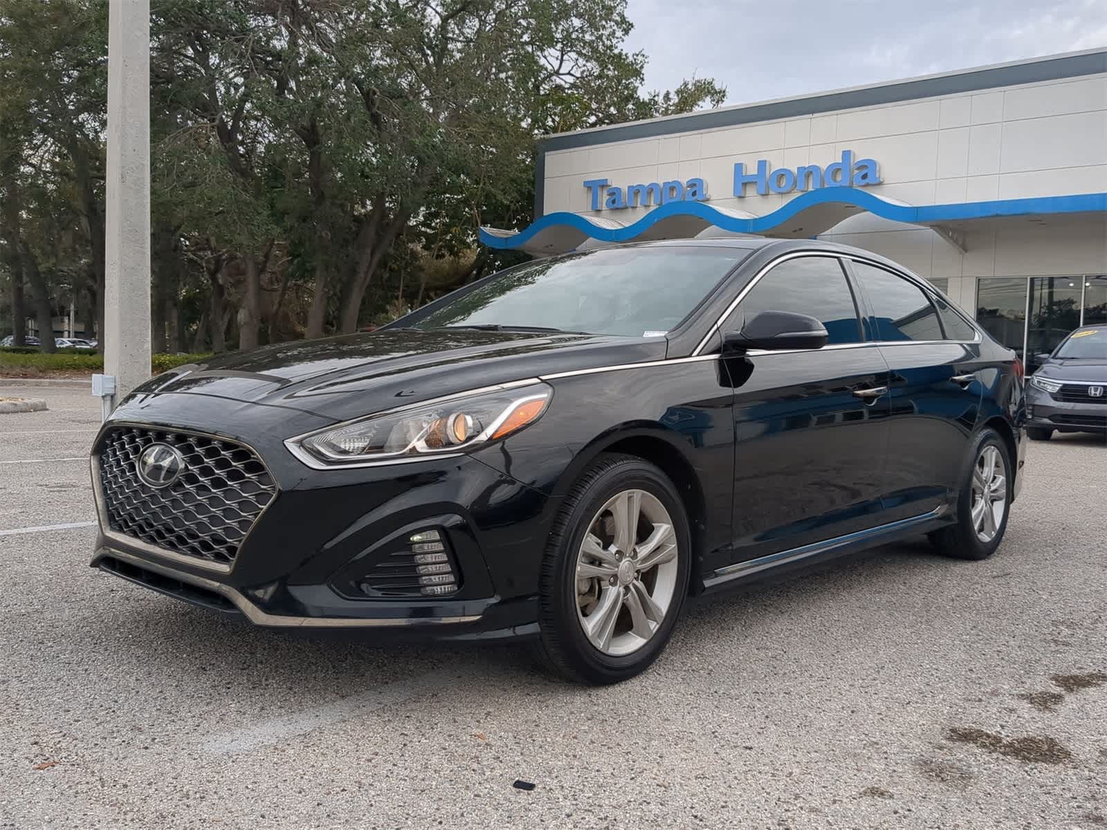 Used 2019 Hyundai Sonata Sport with VIN 5NPE34AF9KH787494 for sale in Tampa, FL