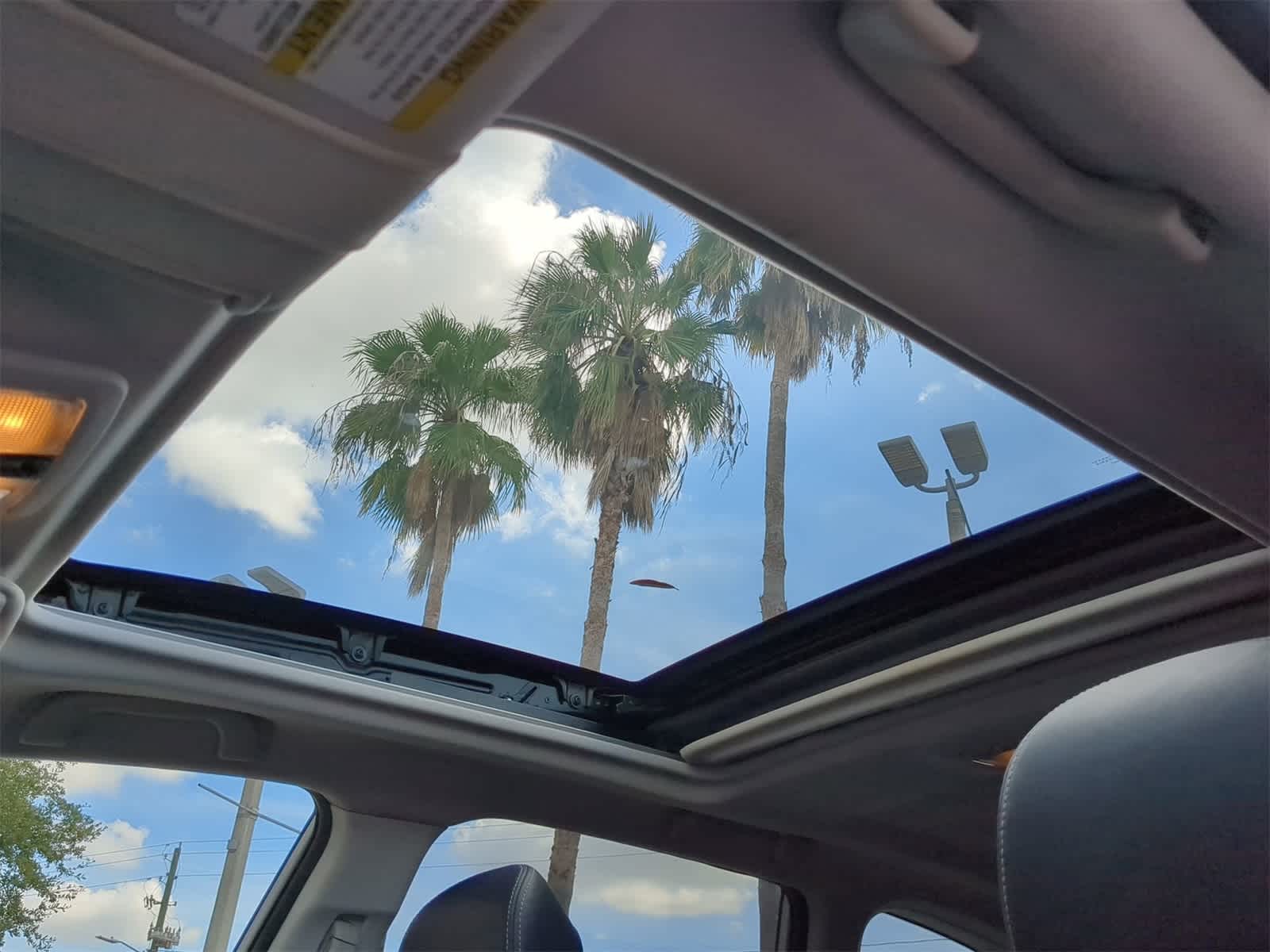 View 19