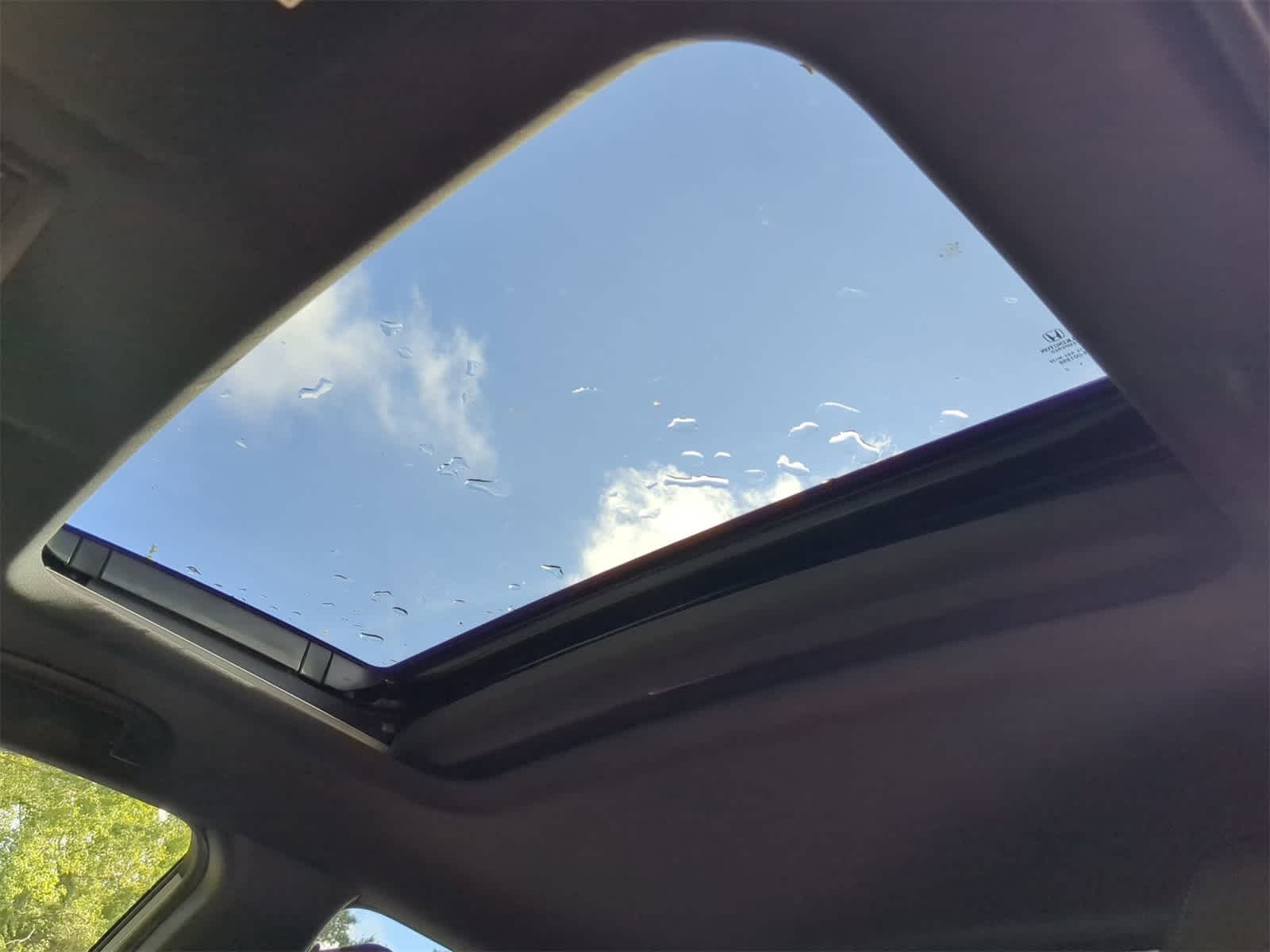 View 19