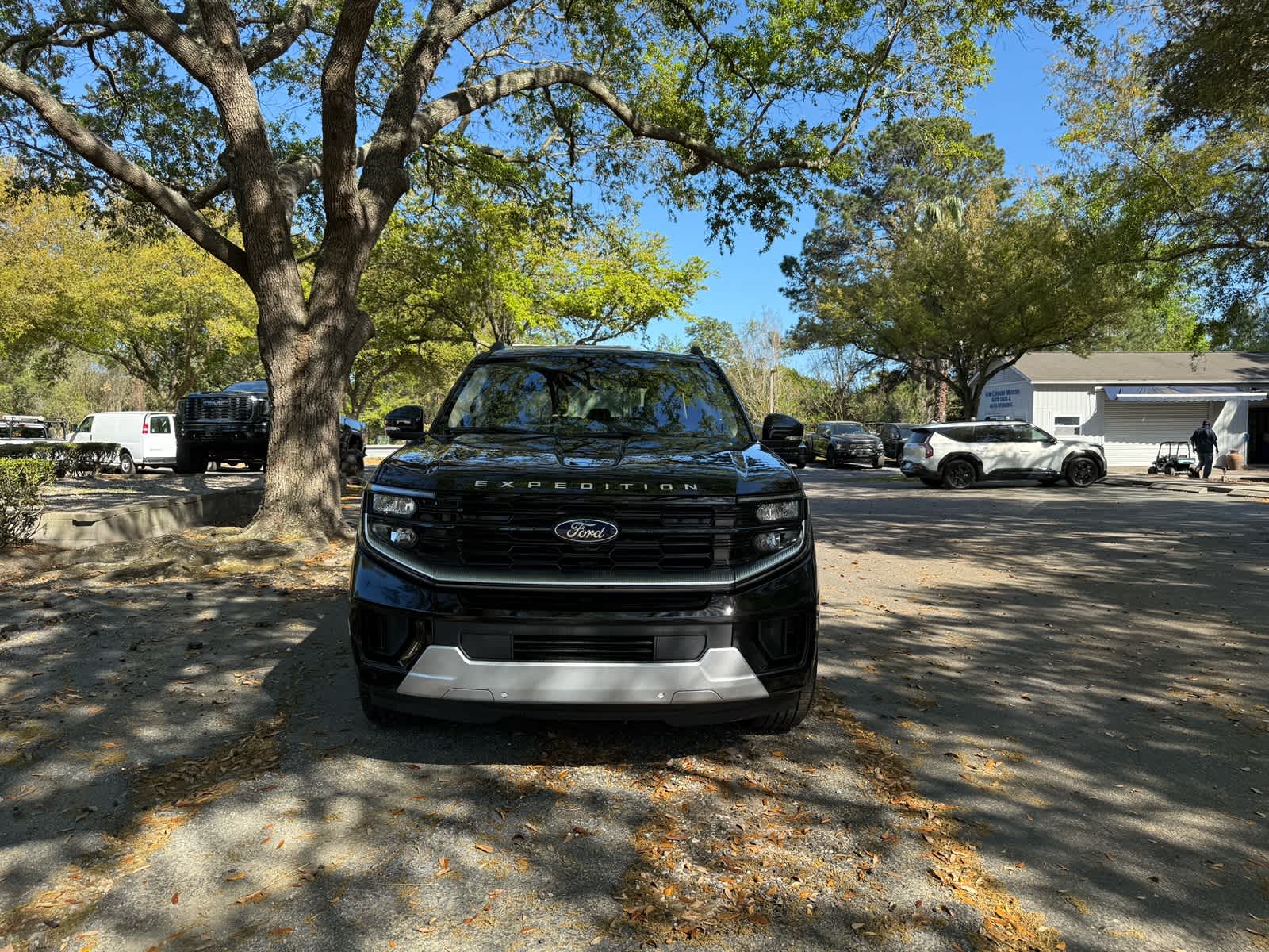 2025 Ford Expedition Platinum - 1