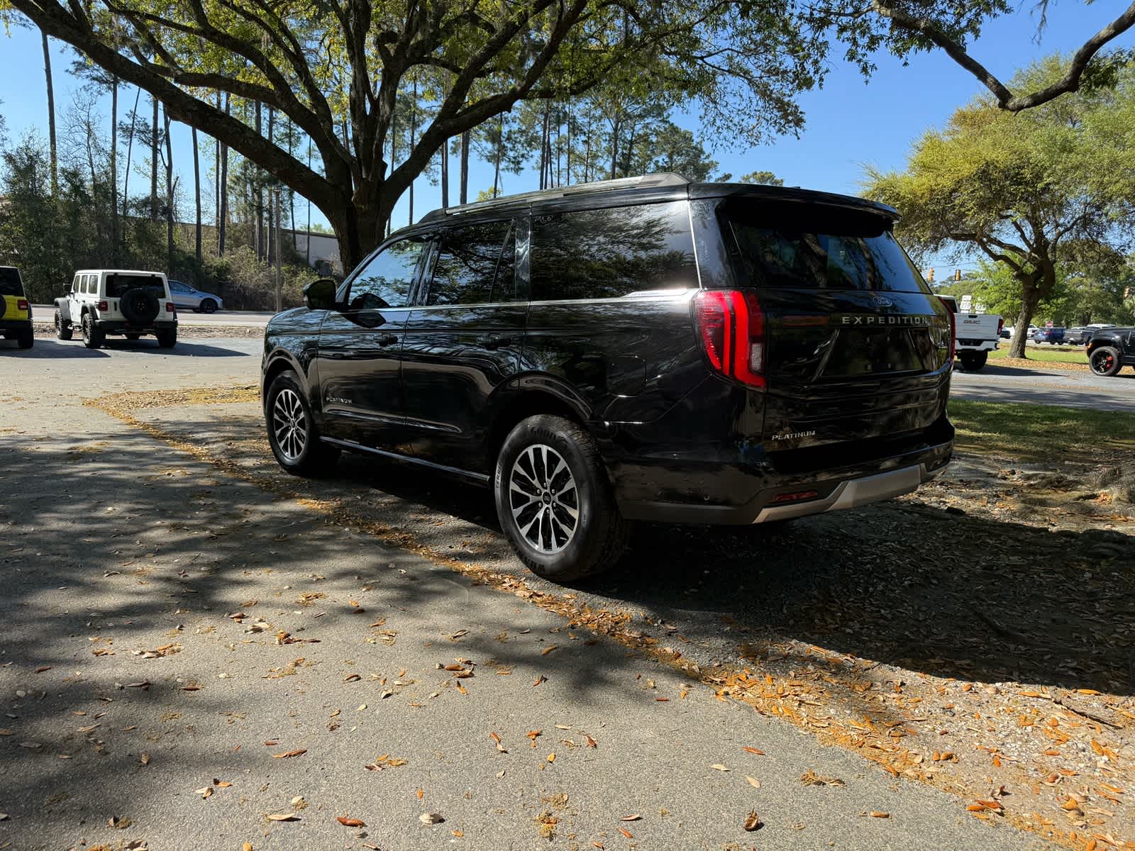2025 Ford Expedition Platinum - 6