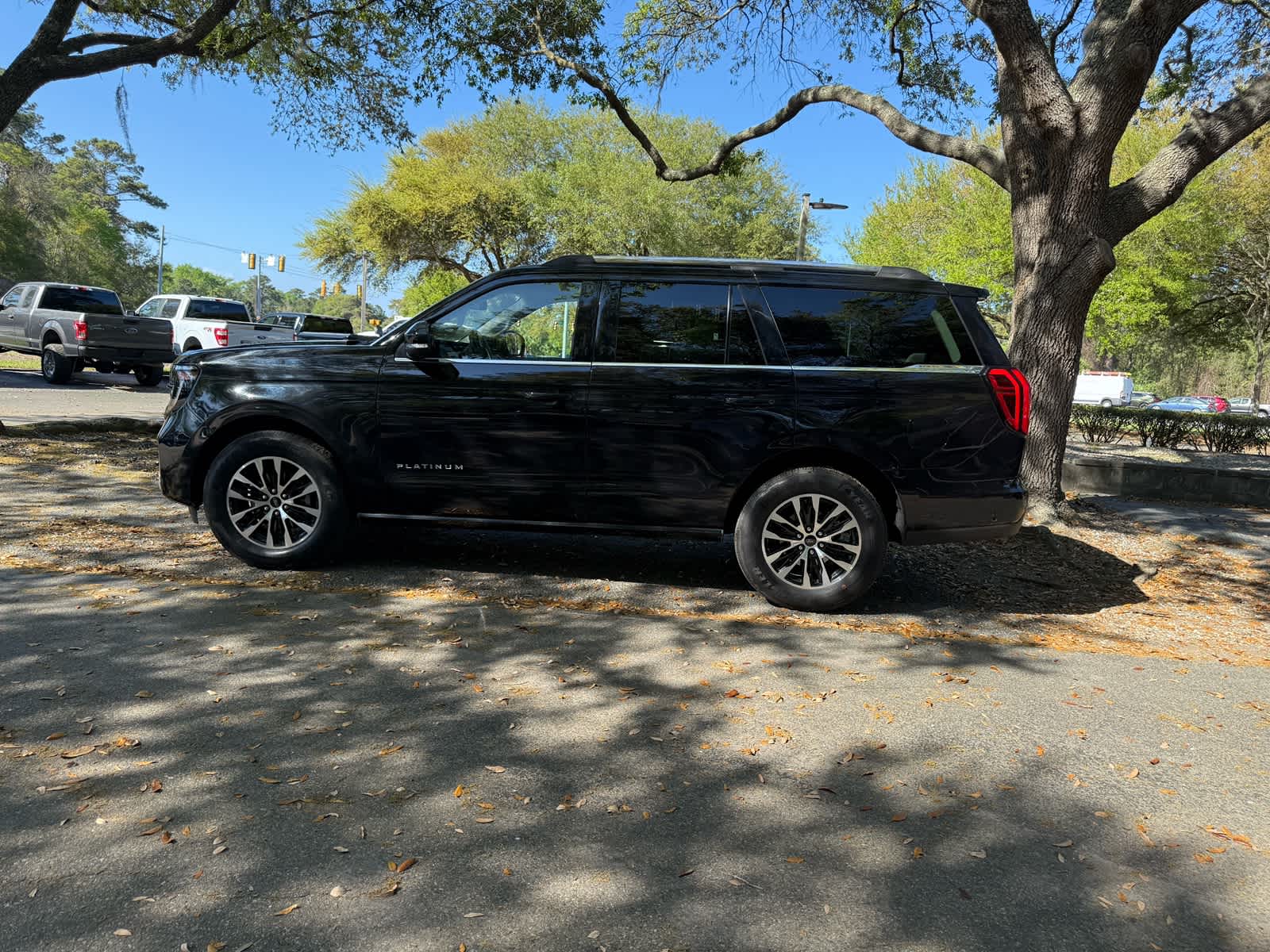 2025 Ford Expedition Platinum - 7