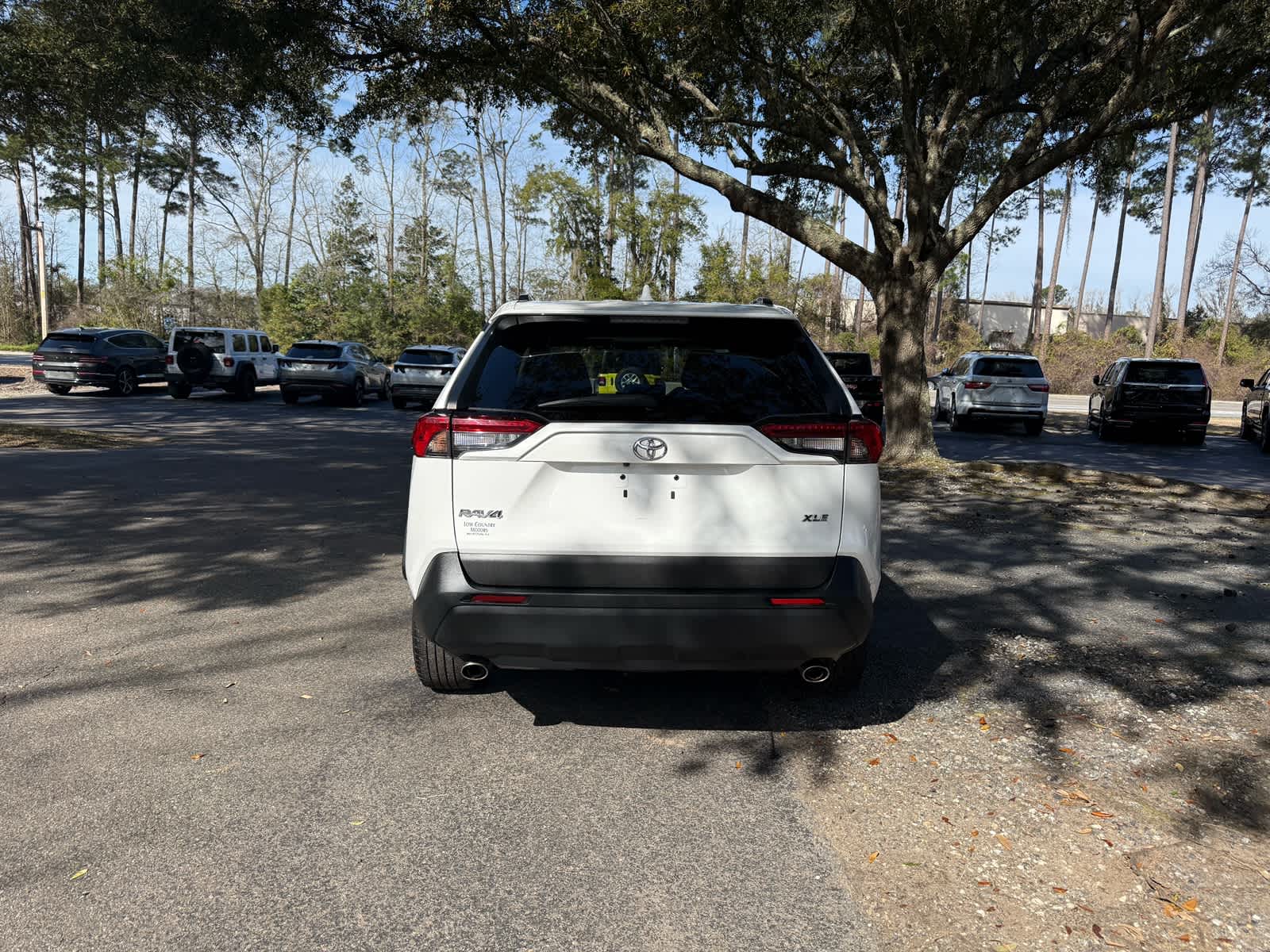 2019 Toyota RAV4 XLE Premium - 5