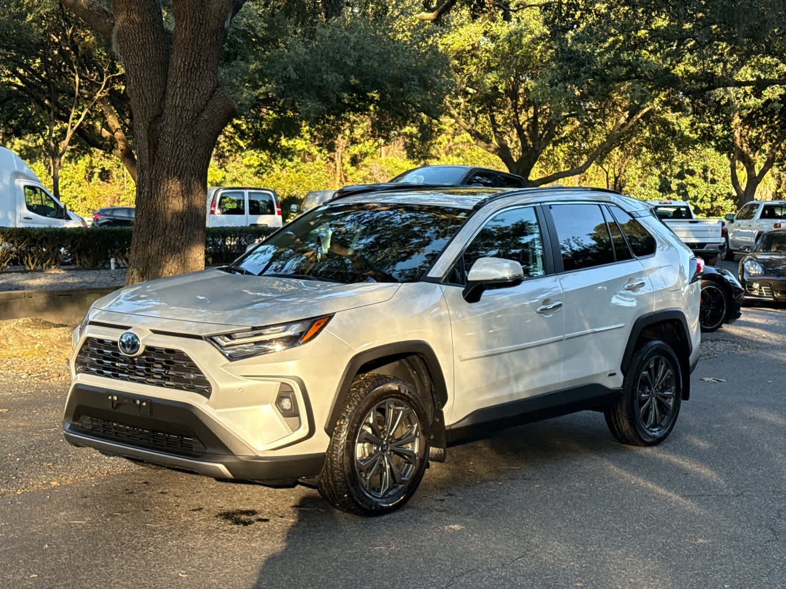 2023 Toyota RAV4 Hybrid Limited Wind Chill Pearl at Stokes Toyota Beaufort