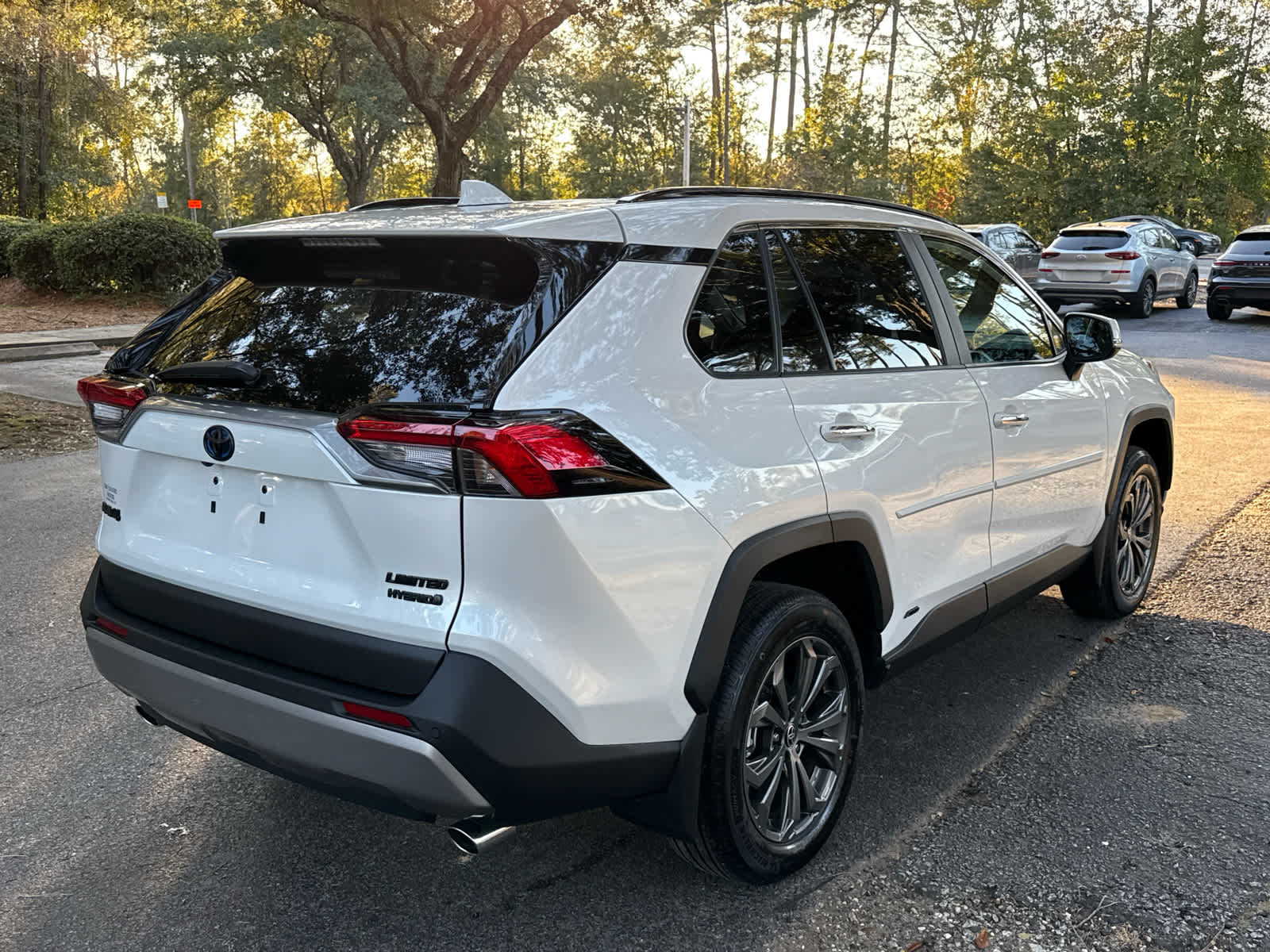 2023 Toyota RAV4 Hybrid Limited Wind Chill Pearl at Stokes Toyota Beaufort
