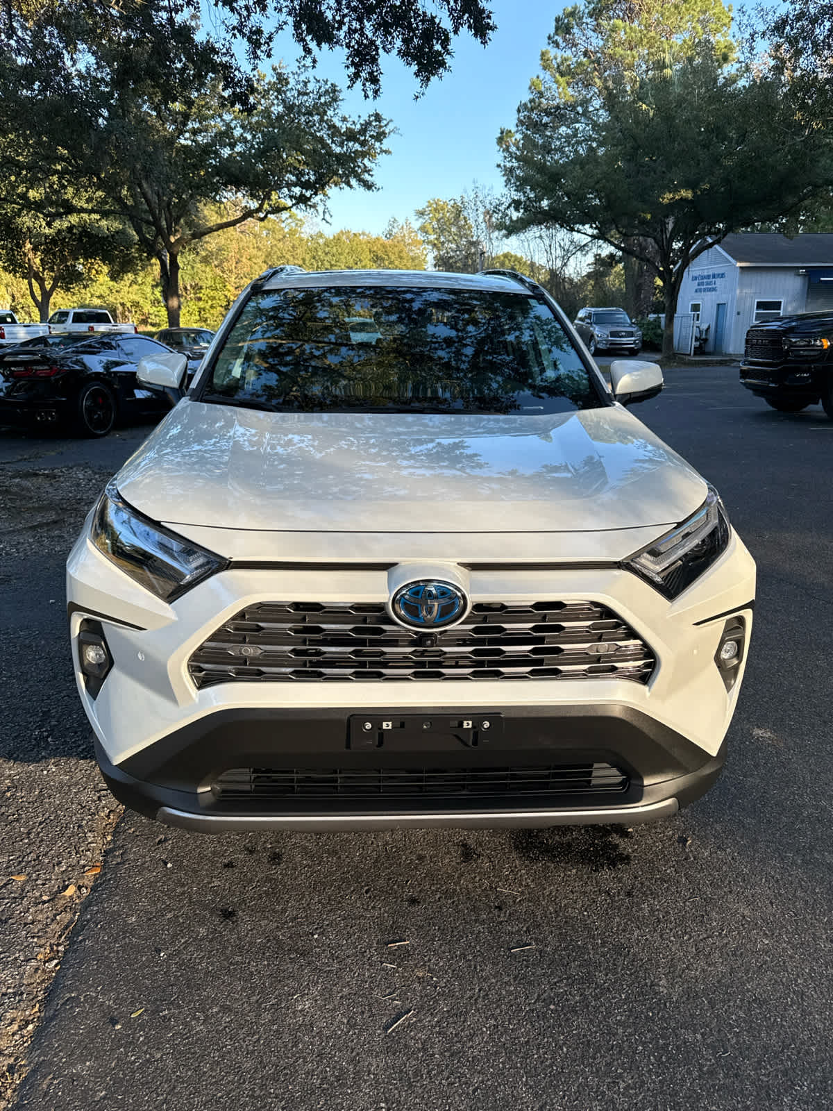 2023 Toyota RAV4 Hybrid Limited Wind Chill Pearl at Stokes Toyota Beaufort