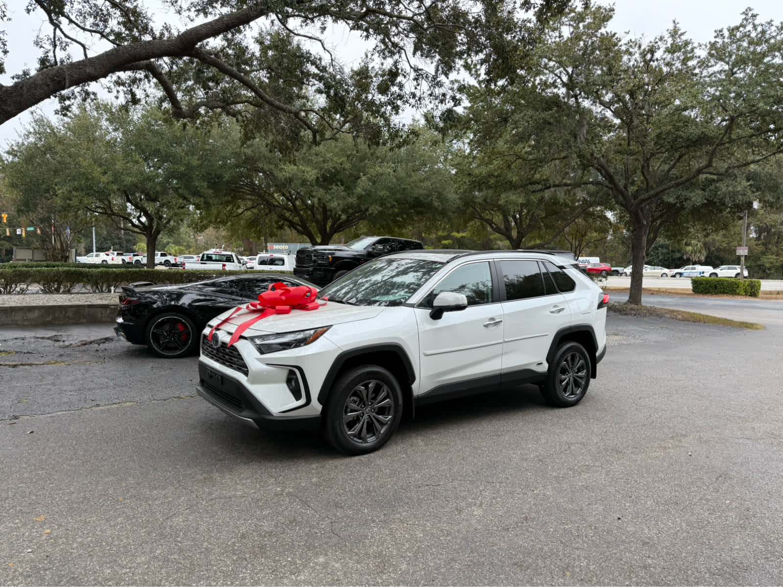 2023 Toyota RAV4 Hybrid Limited Wind Chill Pearl at Stokes Toyota Beaufort
