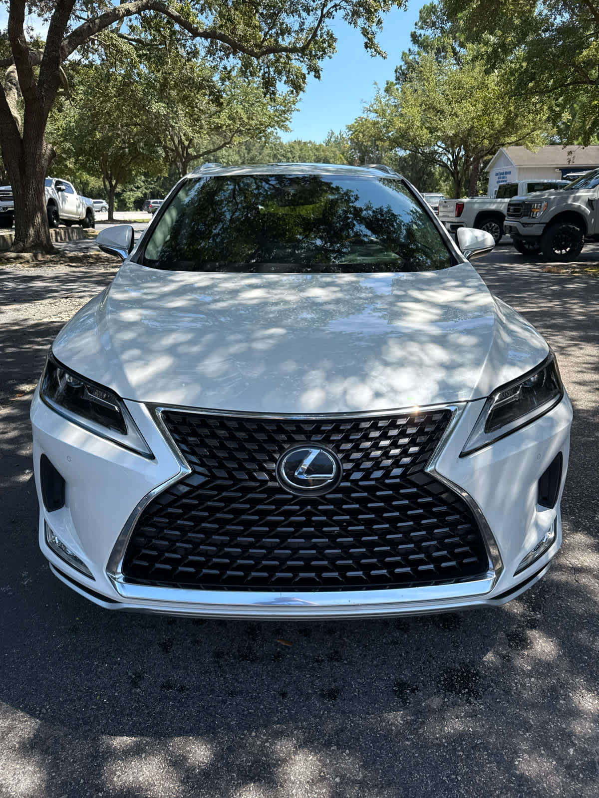 2022 Lexus RX  - 7