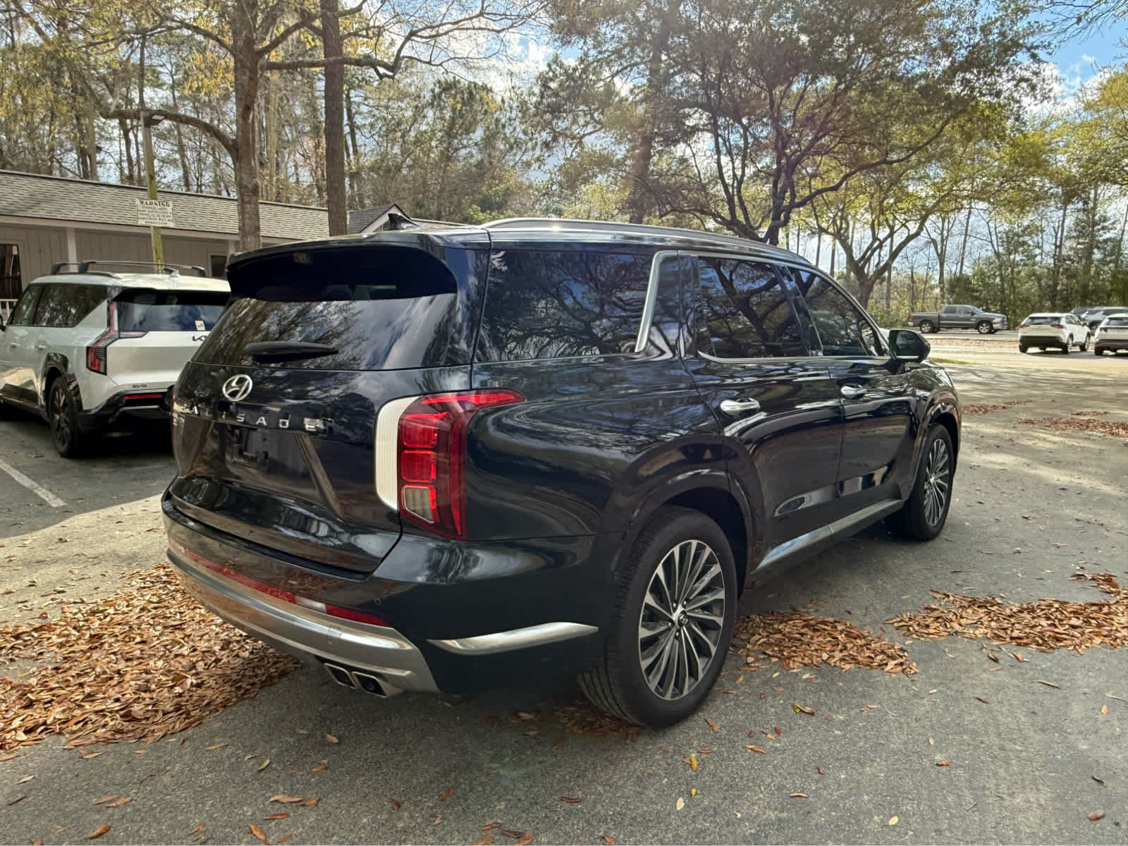 2025 Hyundai Palisade Calligraphy - 4