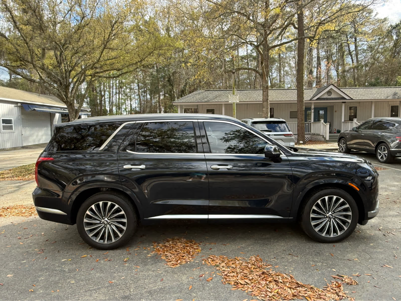 2025 Hyundai Palisade Calligraphy - 5