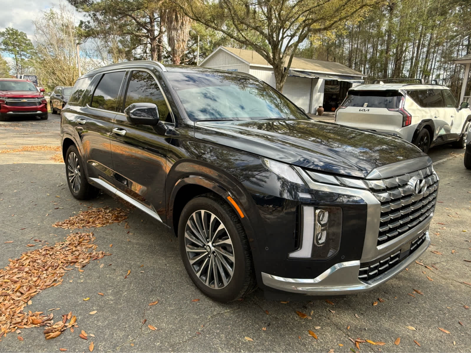 2025 Hyundai Palisade Calligraphy - 6