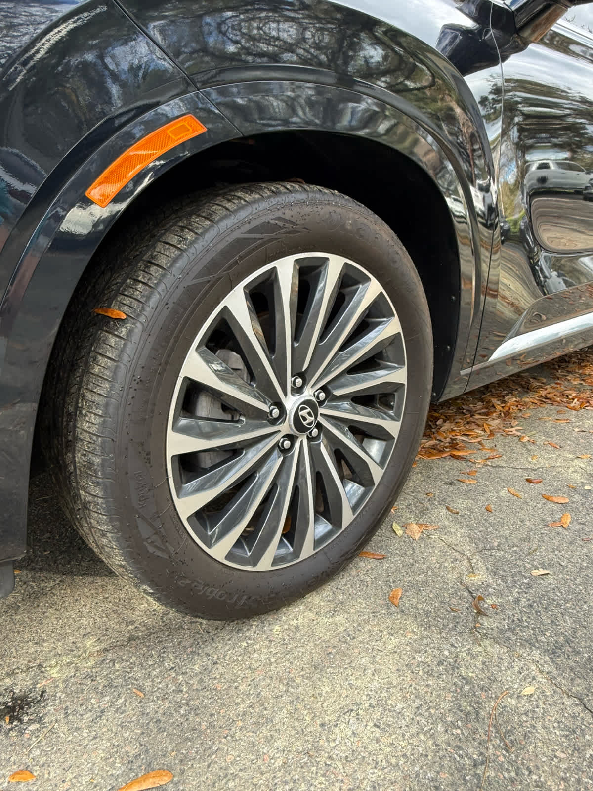 2025 Hyundai Palisade Calligraphy - 8