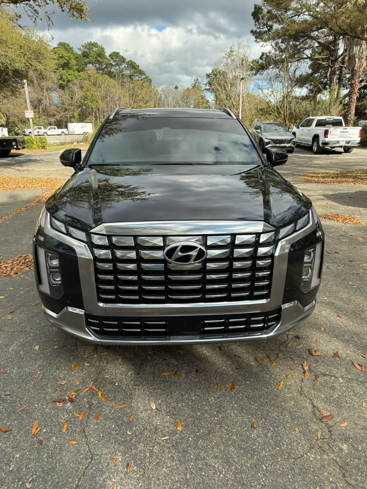 2025 Hyundai Palisade Calligraphy - 7