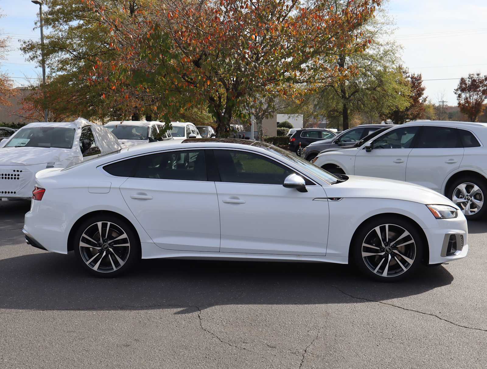 2025 Audi S5 Sportback Premium 6