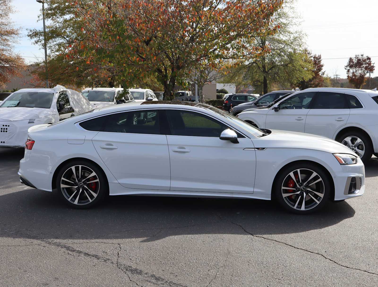 2025 Audi S5 Sportback Prestige 6