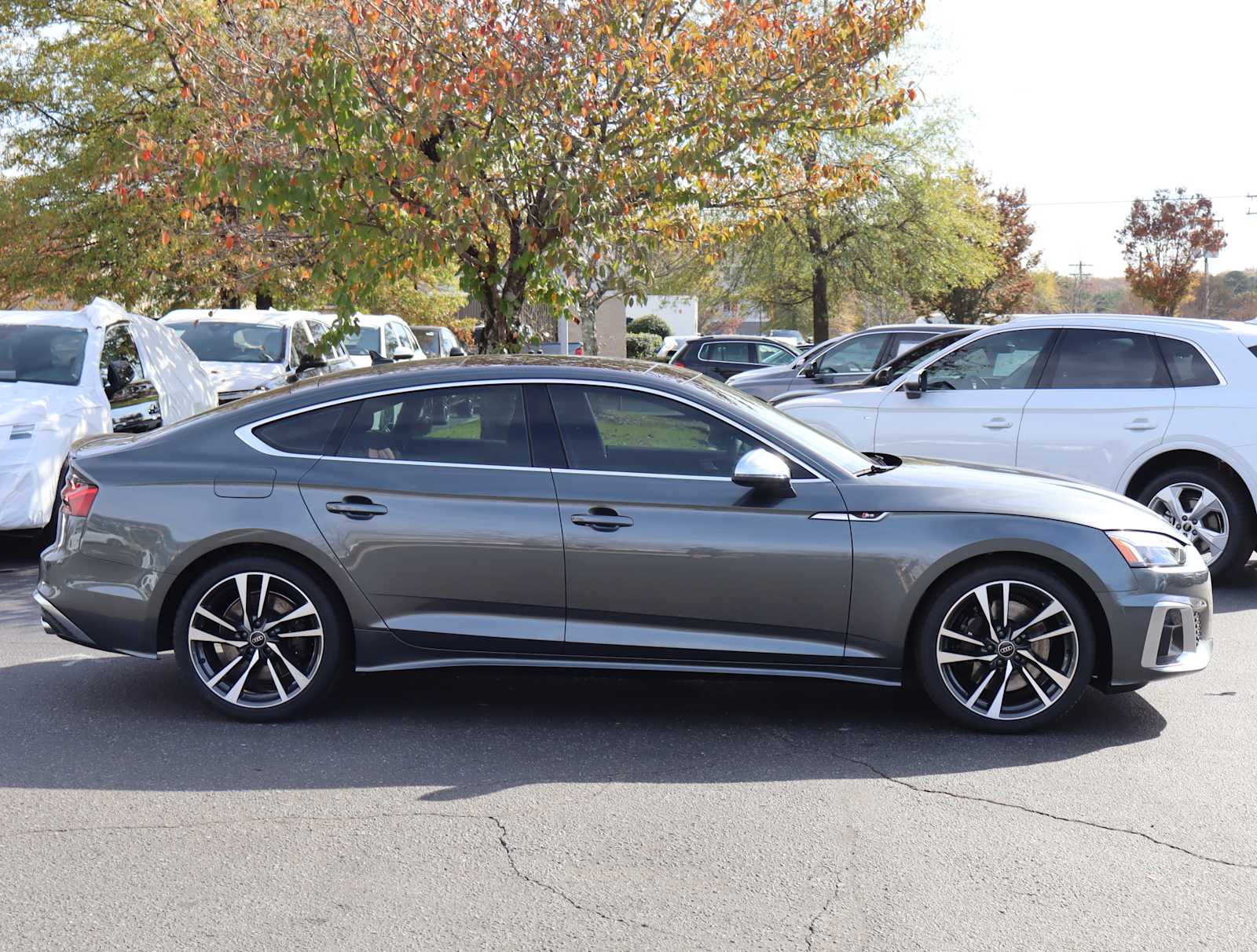 2025 Audi S5 Sportback Premium Plus 6