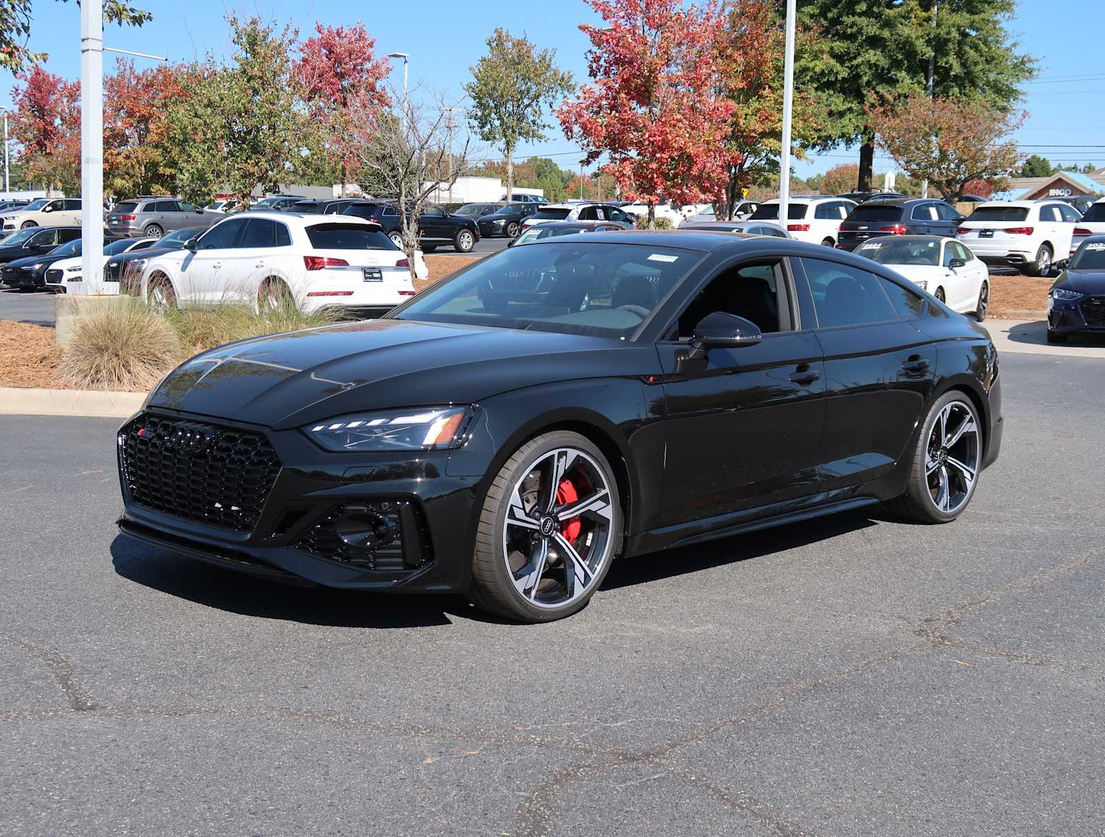 2025 Audi RS 5 Sportback  3