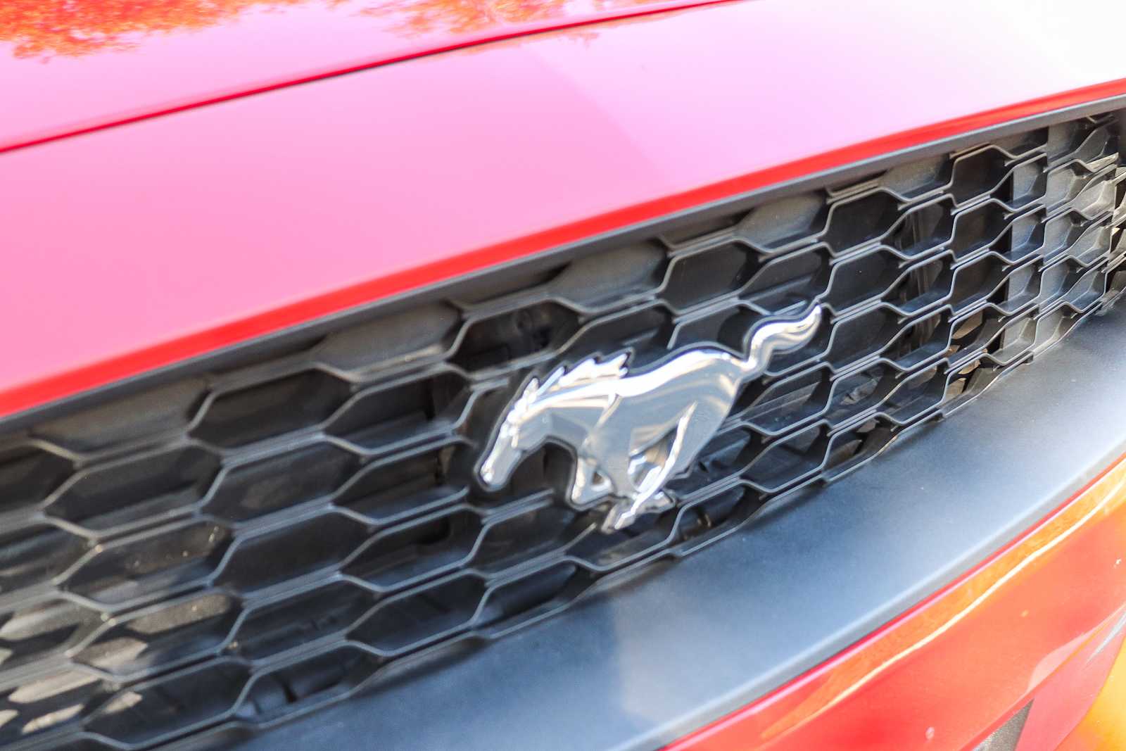 2020 Ford Mustang EcoBoost Premium 5