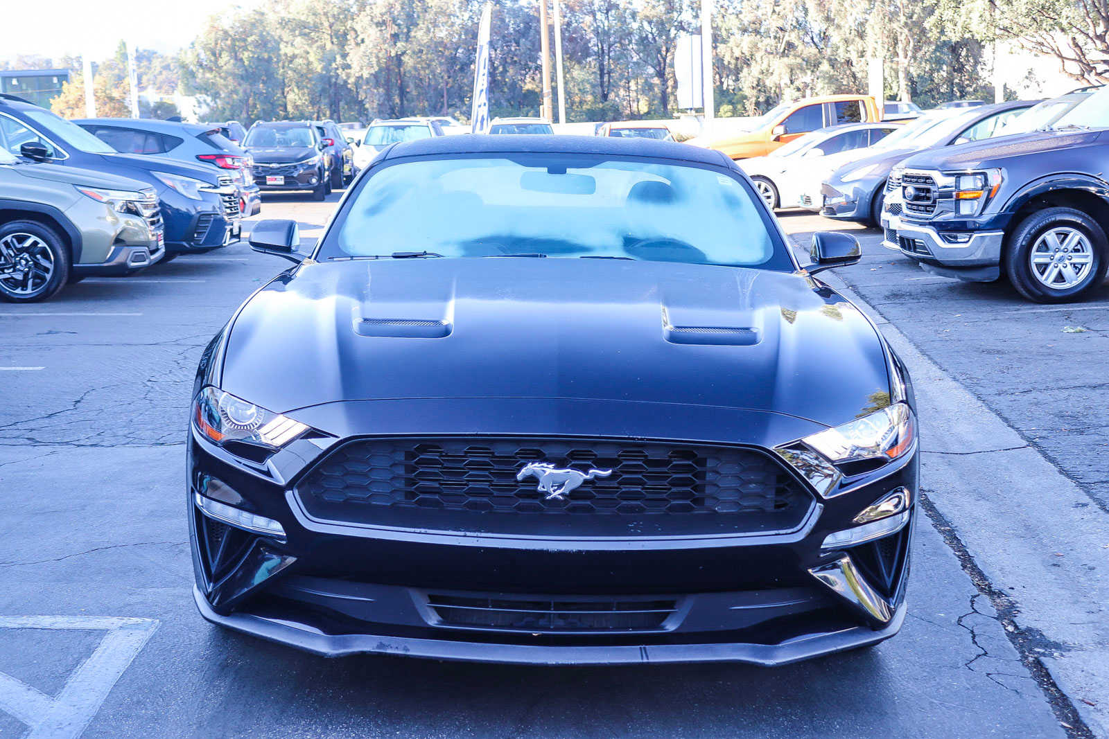 2019 Ford Mustang EcoBoost 2