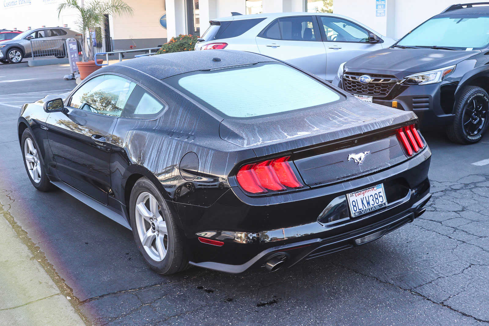 2019 Ford Mustang EcoBoost 9