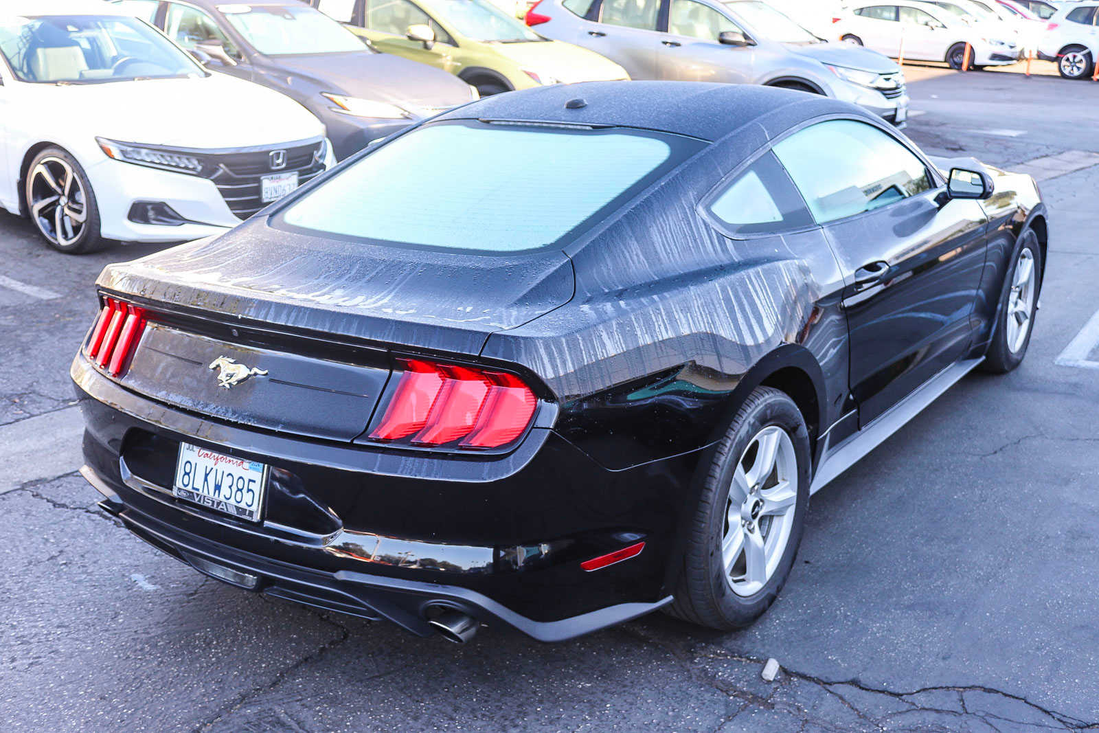 2019 Ford Mustang EcoBoost 11