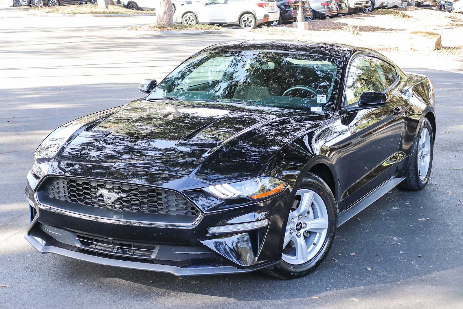 2019 Ford Mustang EcoBoost