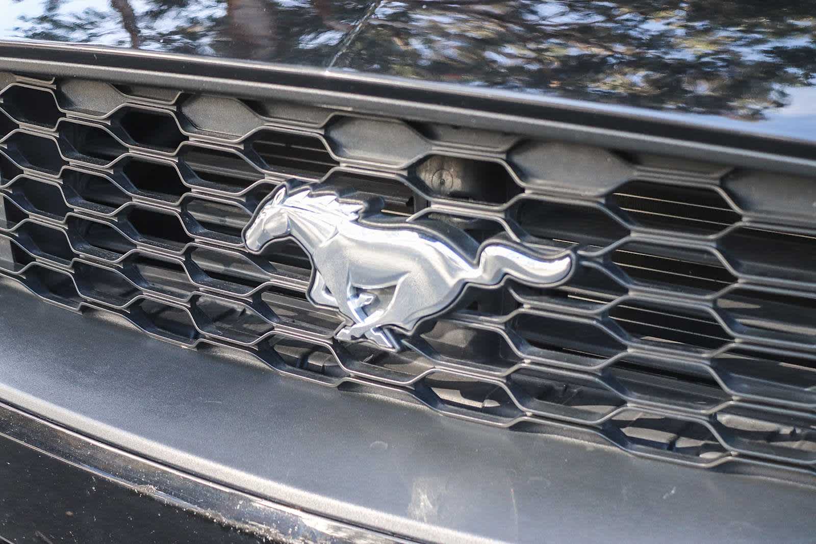 2019 Ford Mustang EcoBoost 11